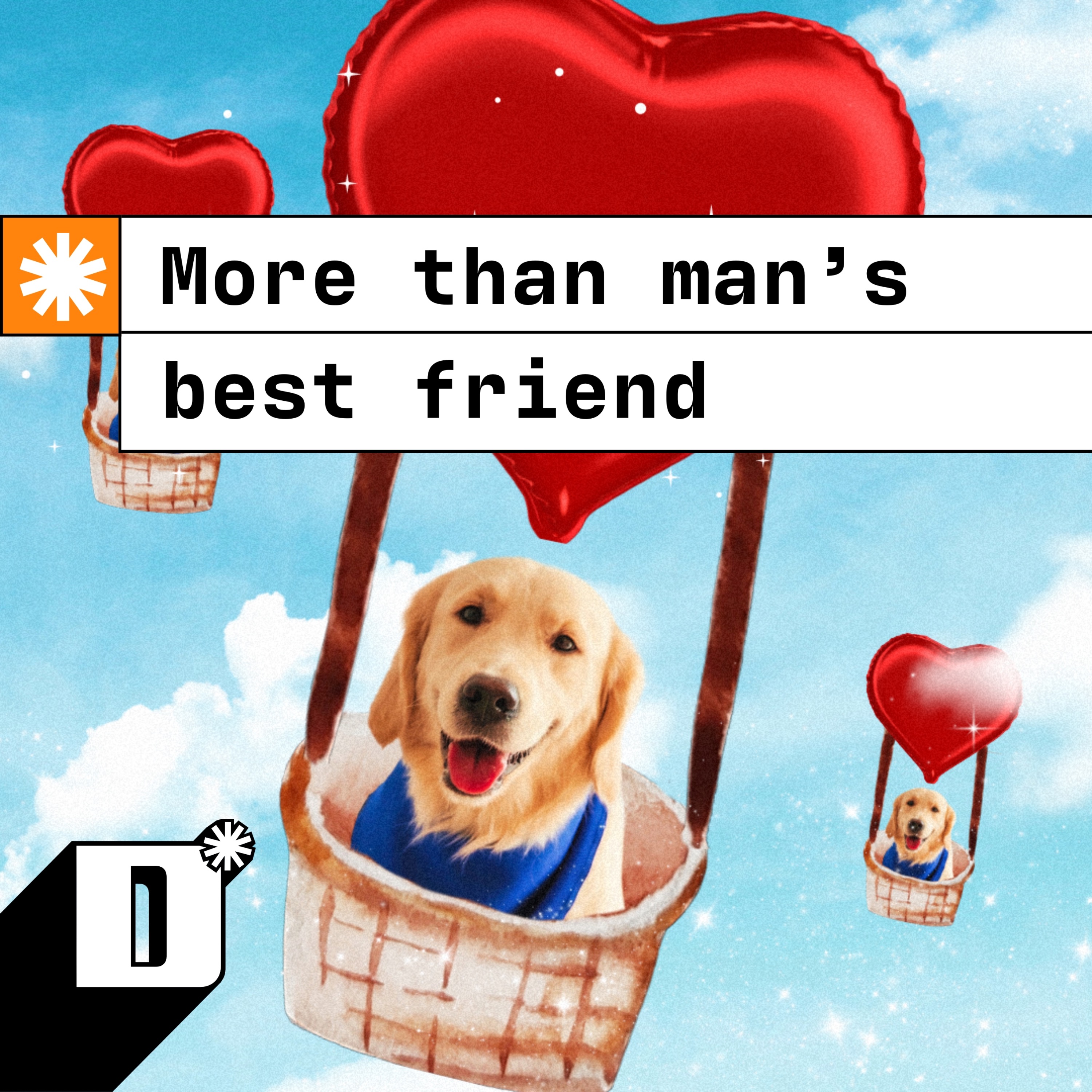 More than man’s best friend: How an assistance dog revolutionised my life