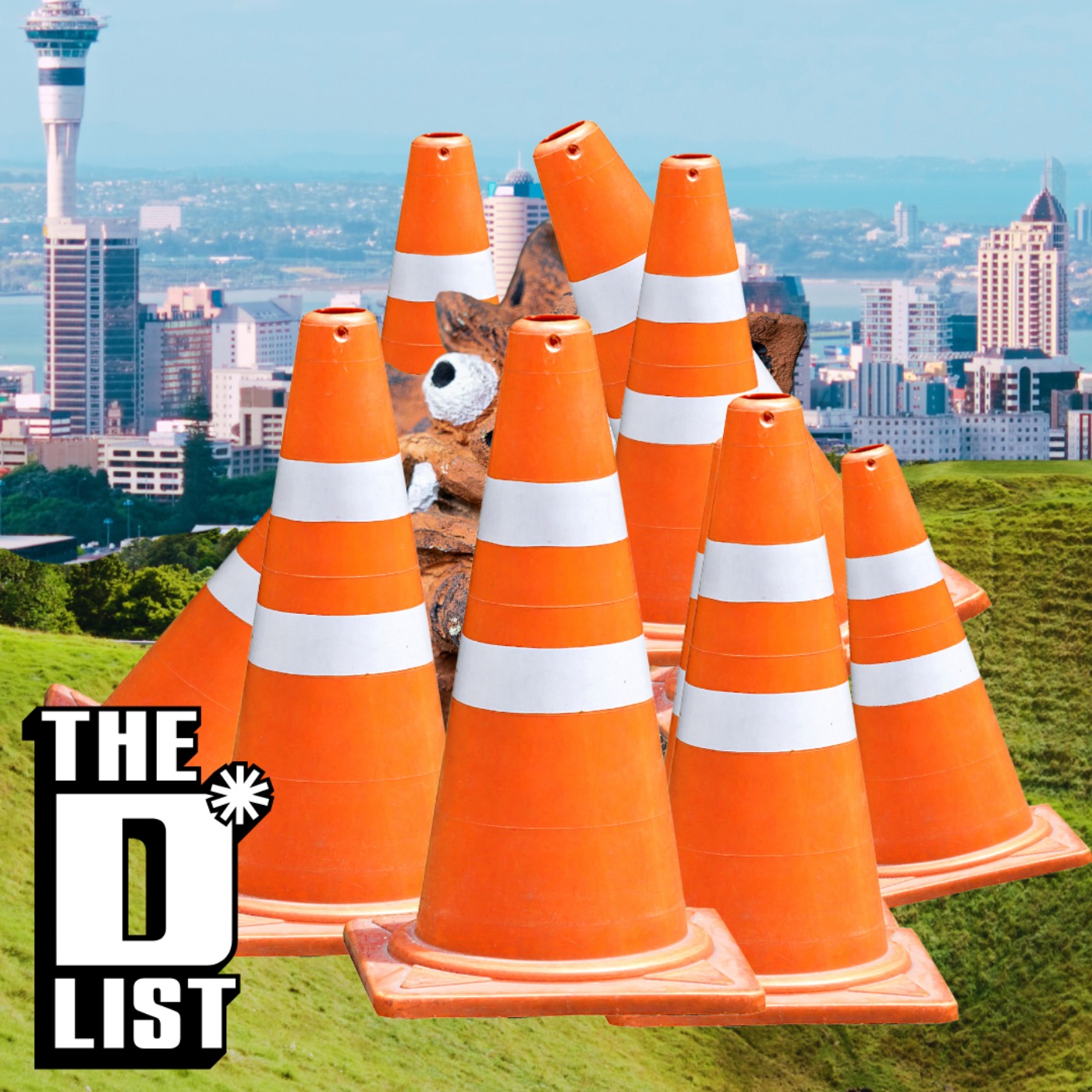Annoying things about Auckland that would change if we became Mayor