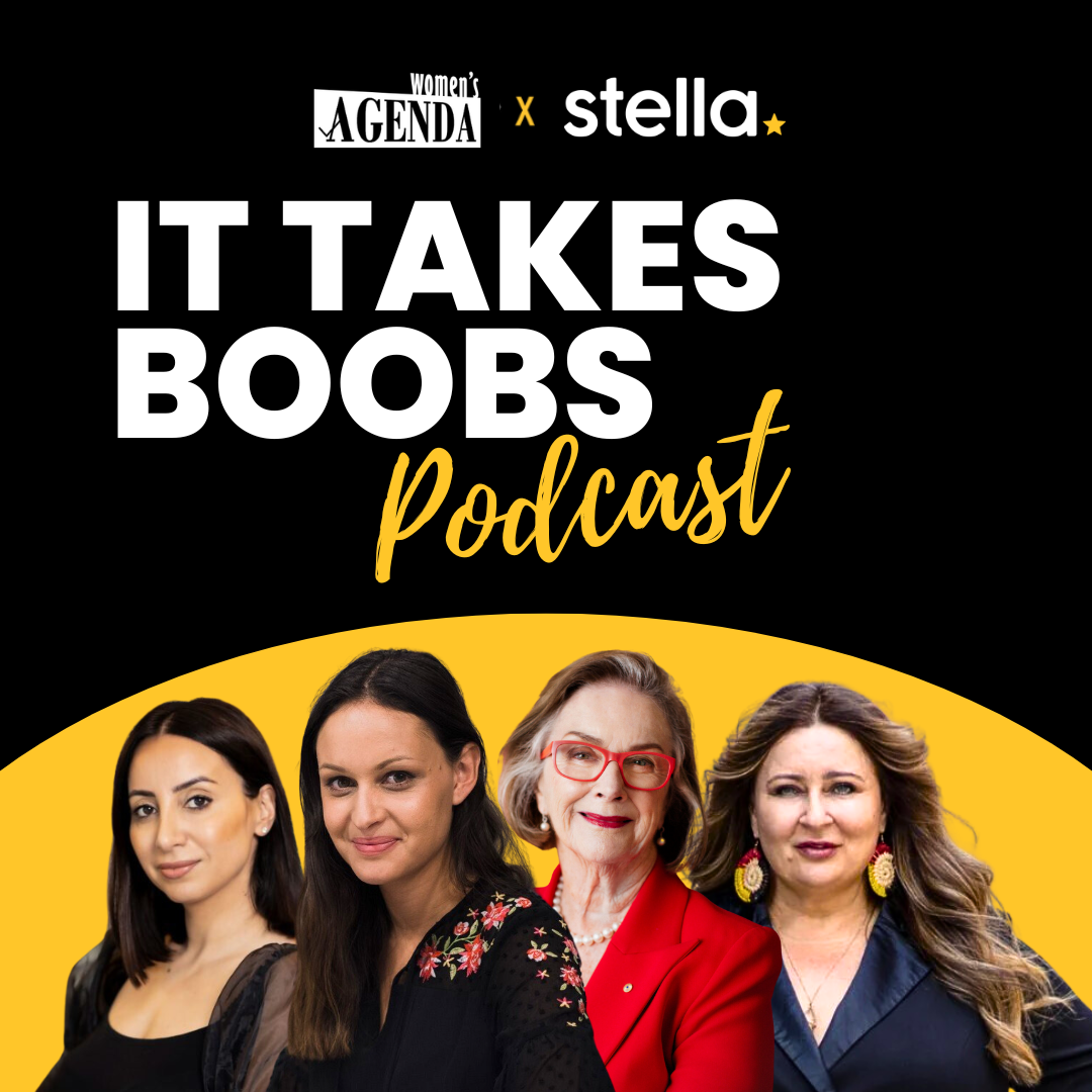 cover art for What is It Takes Boobs all about?