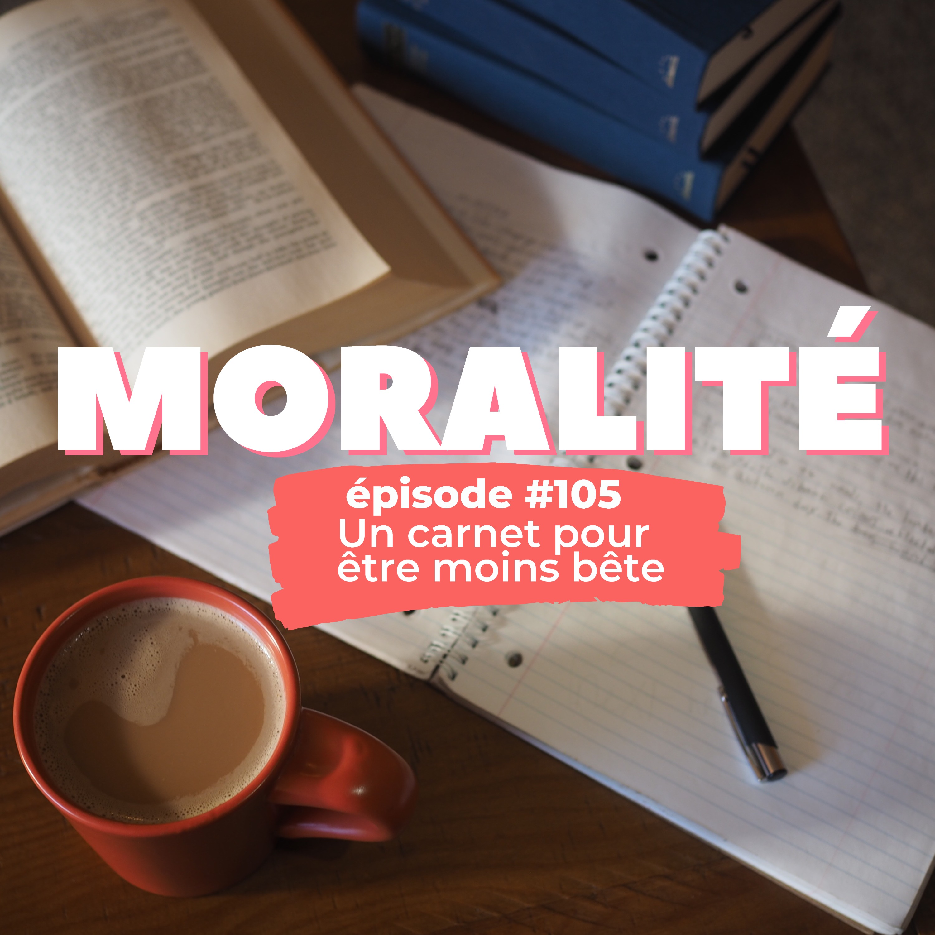 #105 : Un carnet pour être moins bête