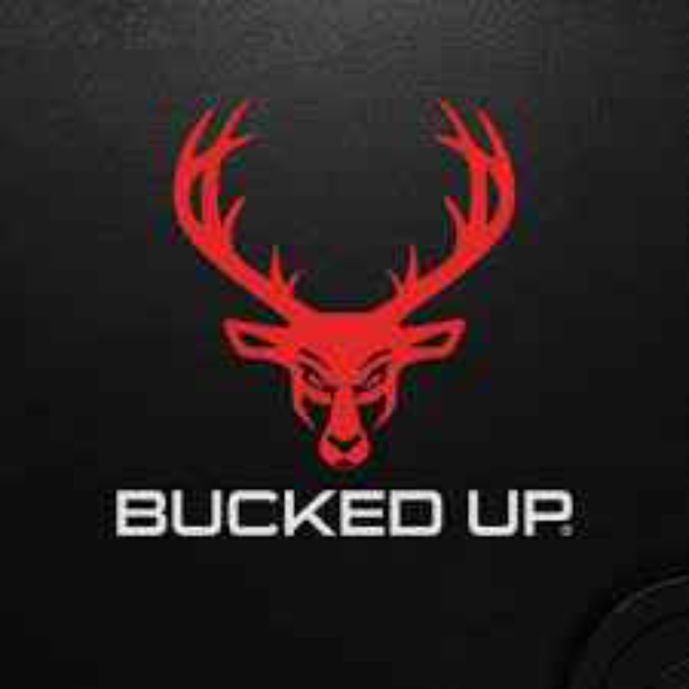 16 Grand to $4M! Bucked Up’s Biggest Gamble