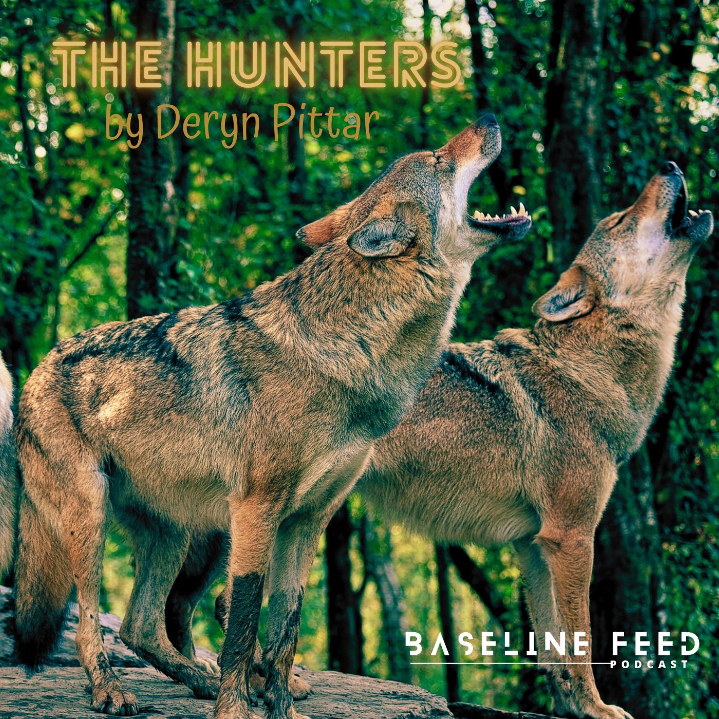 Baseline Feed