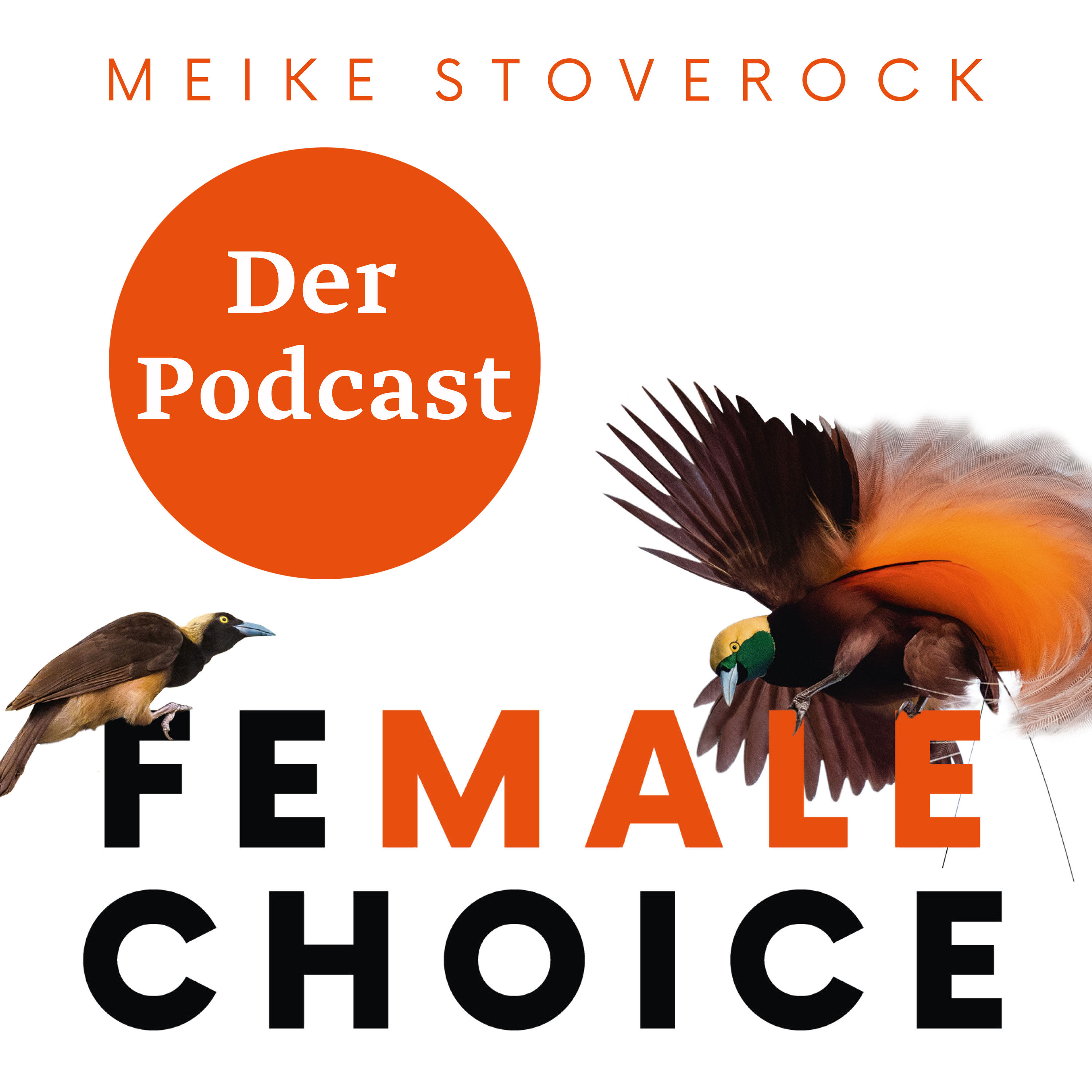 cover art for Female Choice | Trailer