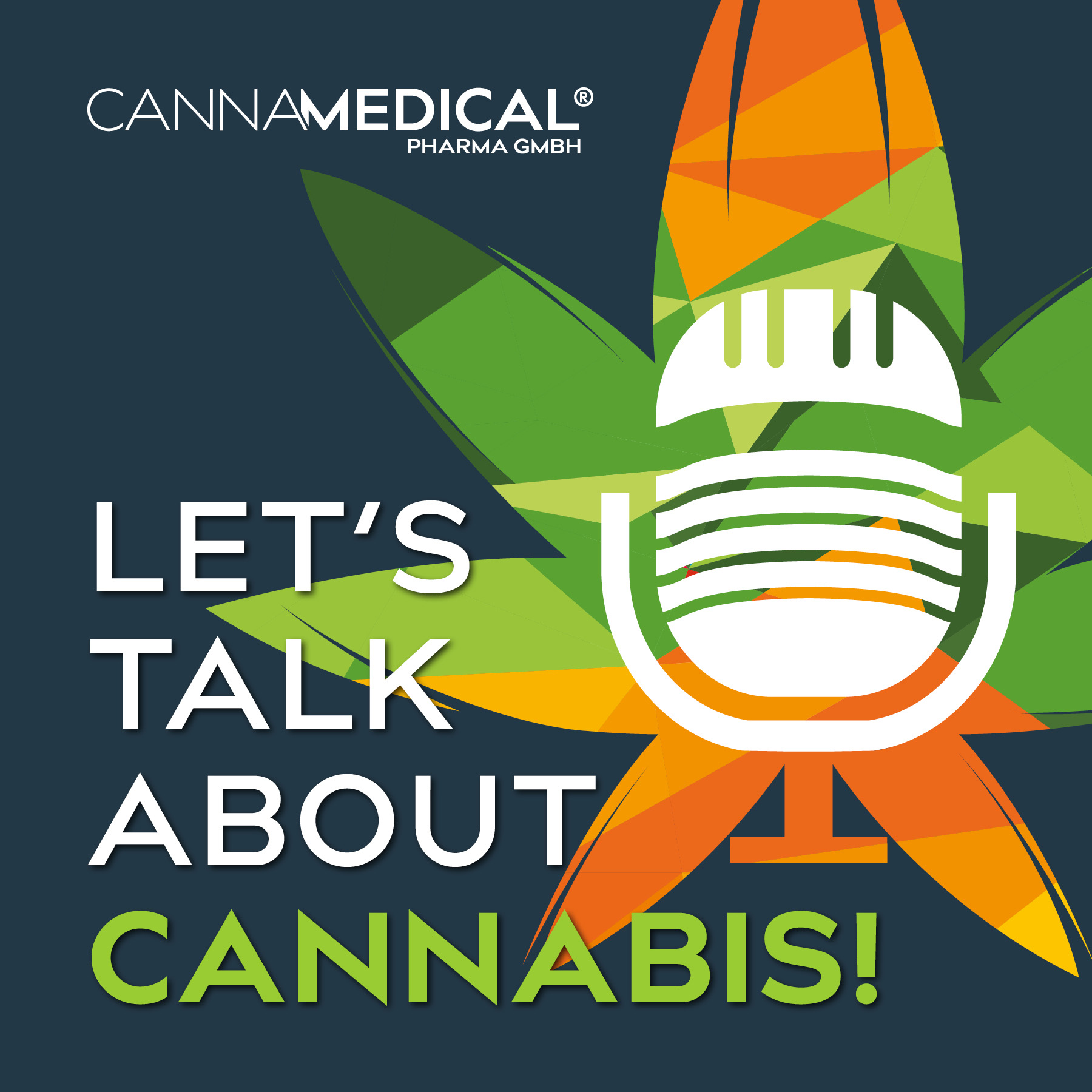 #2 Recht mit LitoLaw: Ein Cannabis-Anwalt klärt auf!