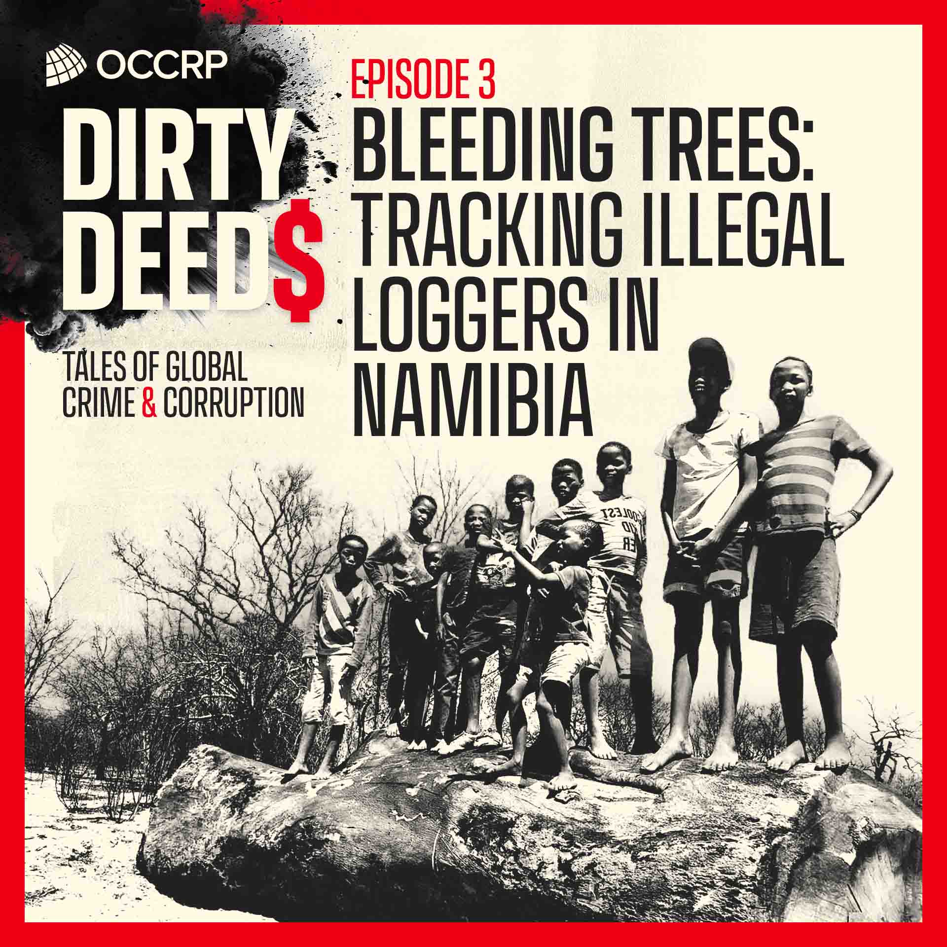 cover art for Bleeding Trees: Tracking Illegal Loggers in Namibia