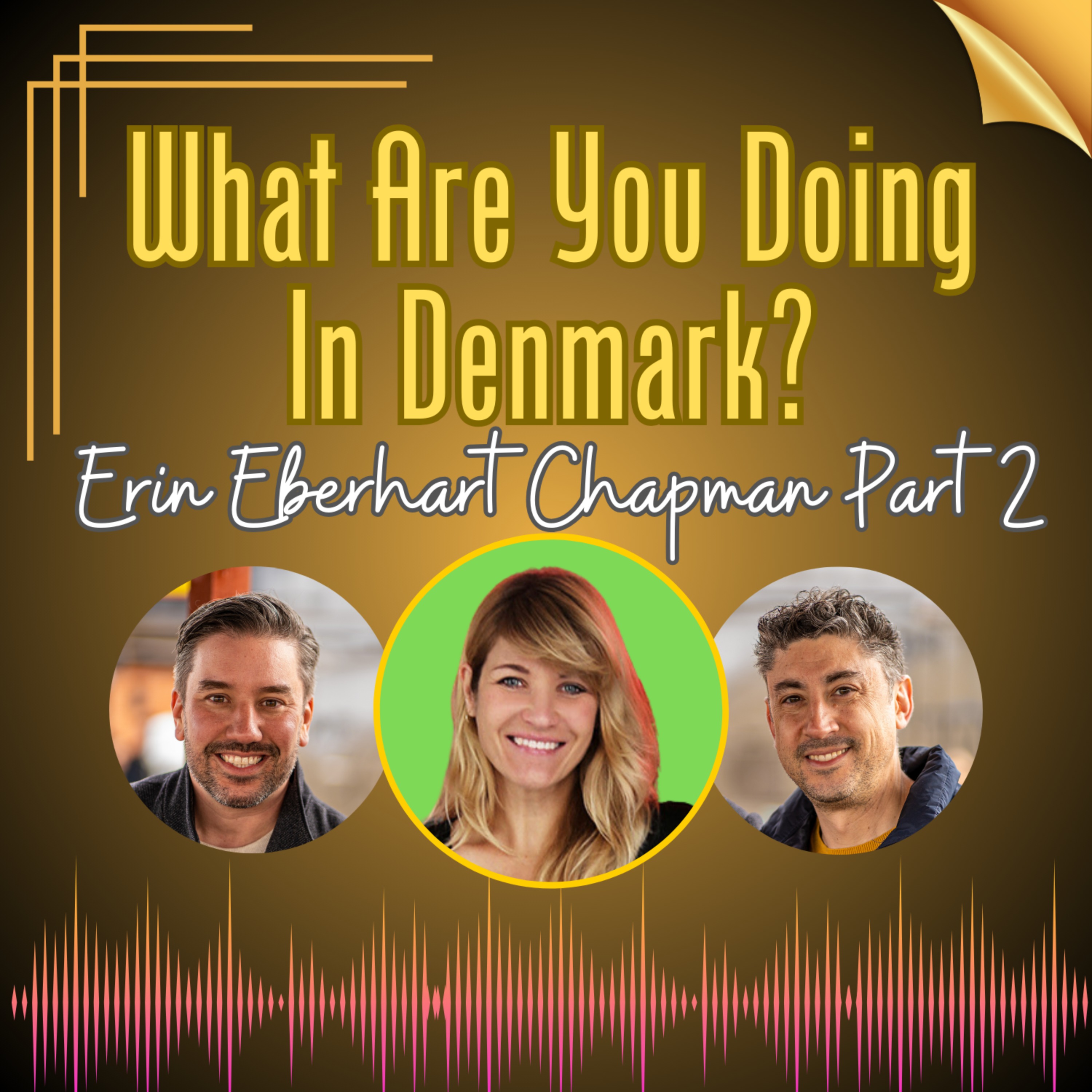 What Are You Doing in Denmark?