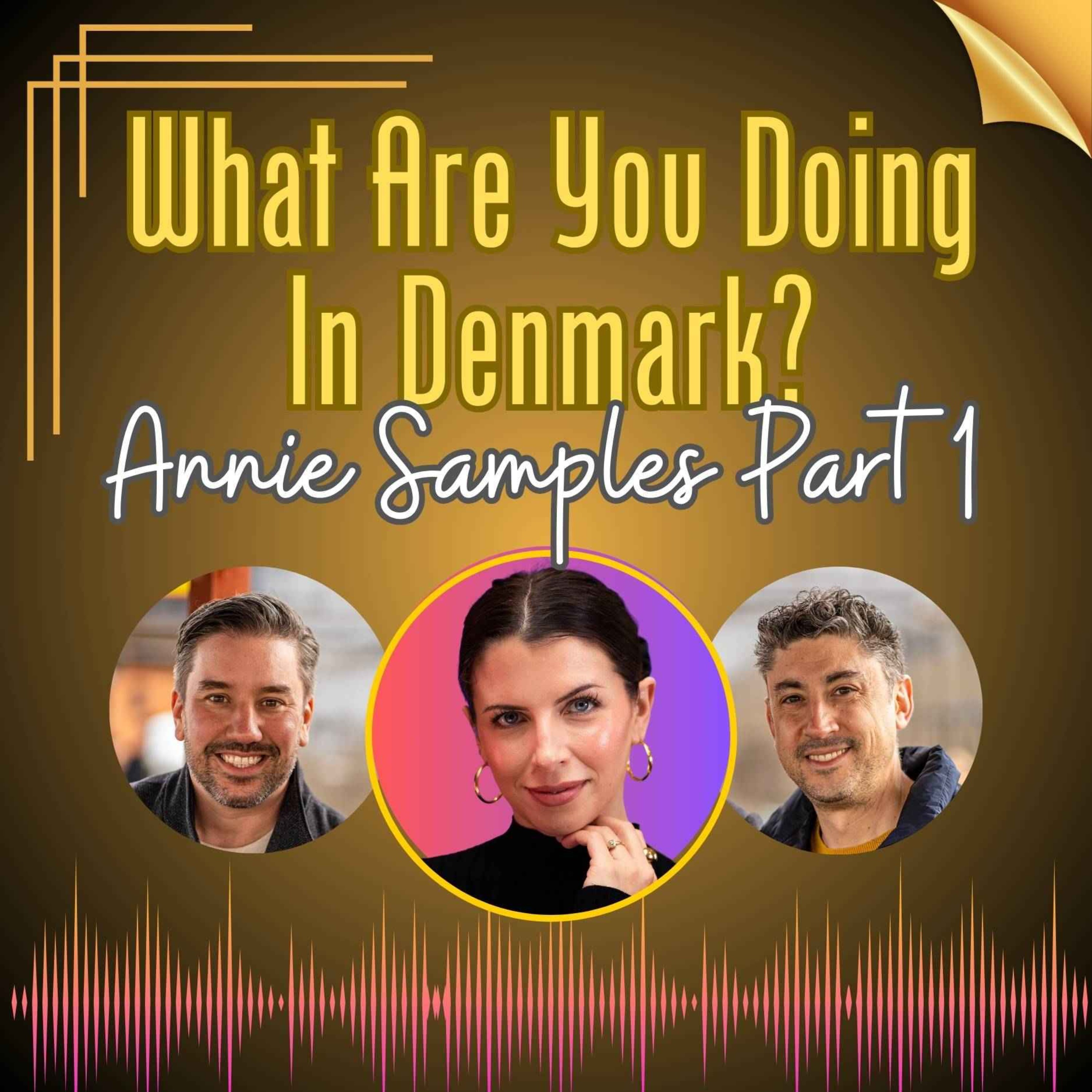 What Are You Doing in Denmark?