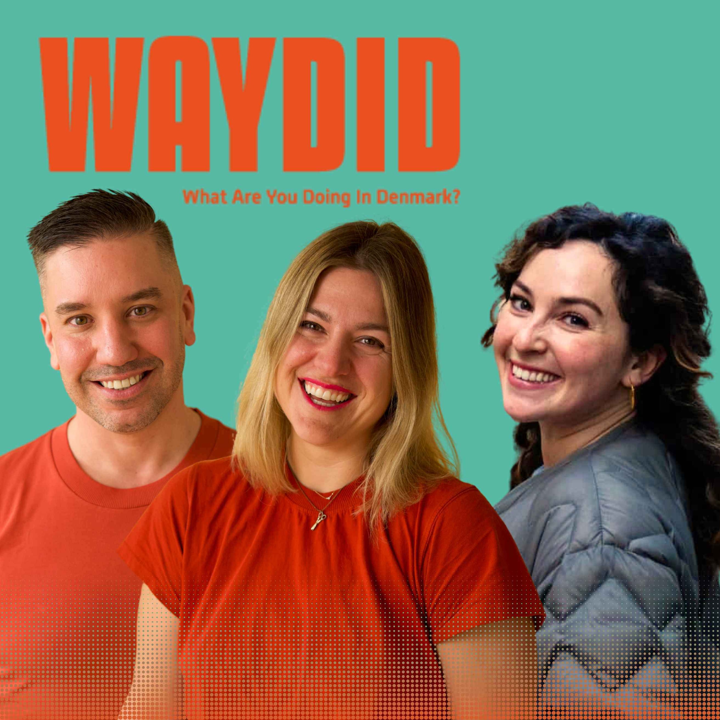 What Are You Doing in Denmark?