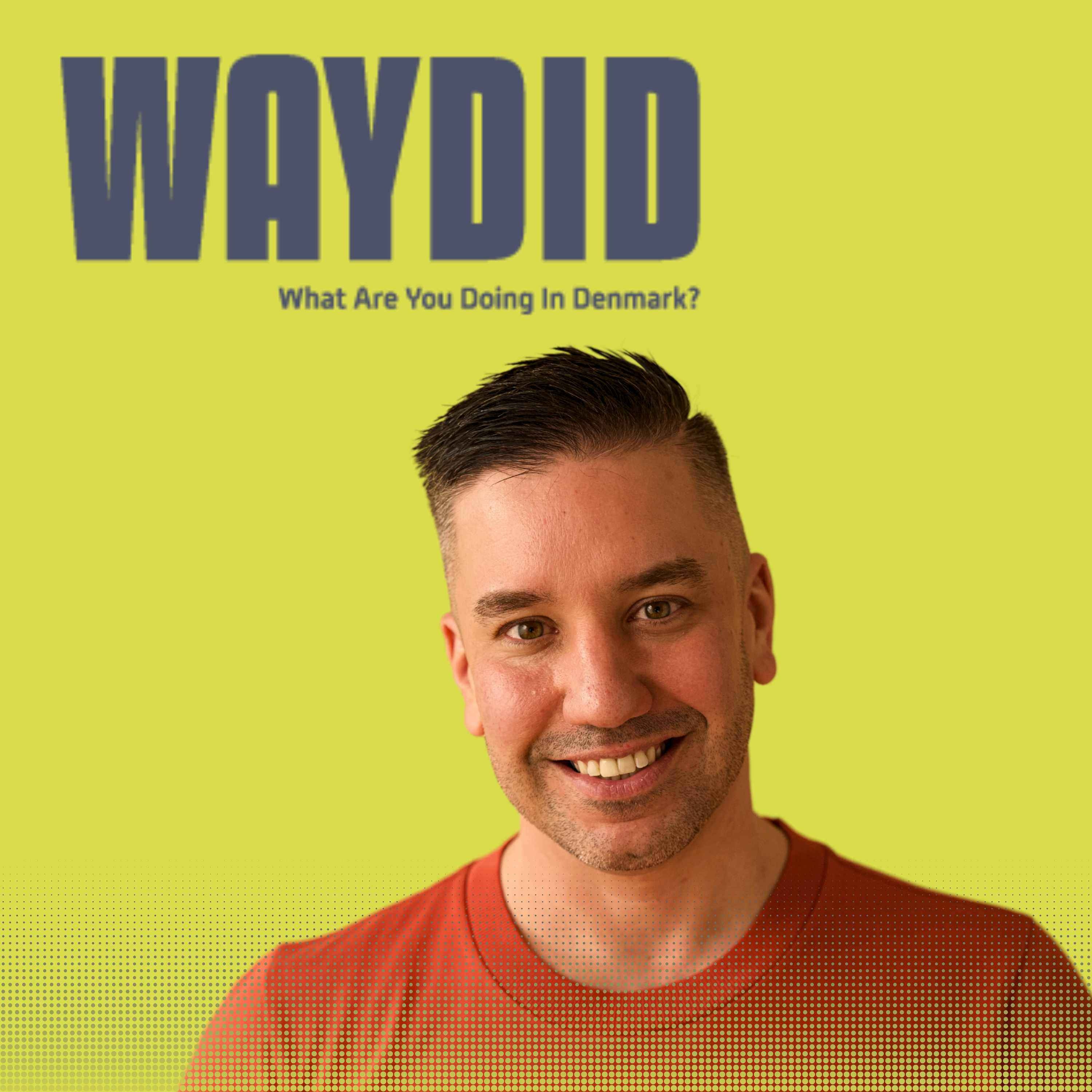 What Are You Doing in Denmark?