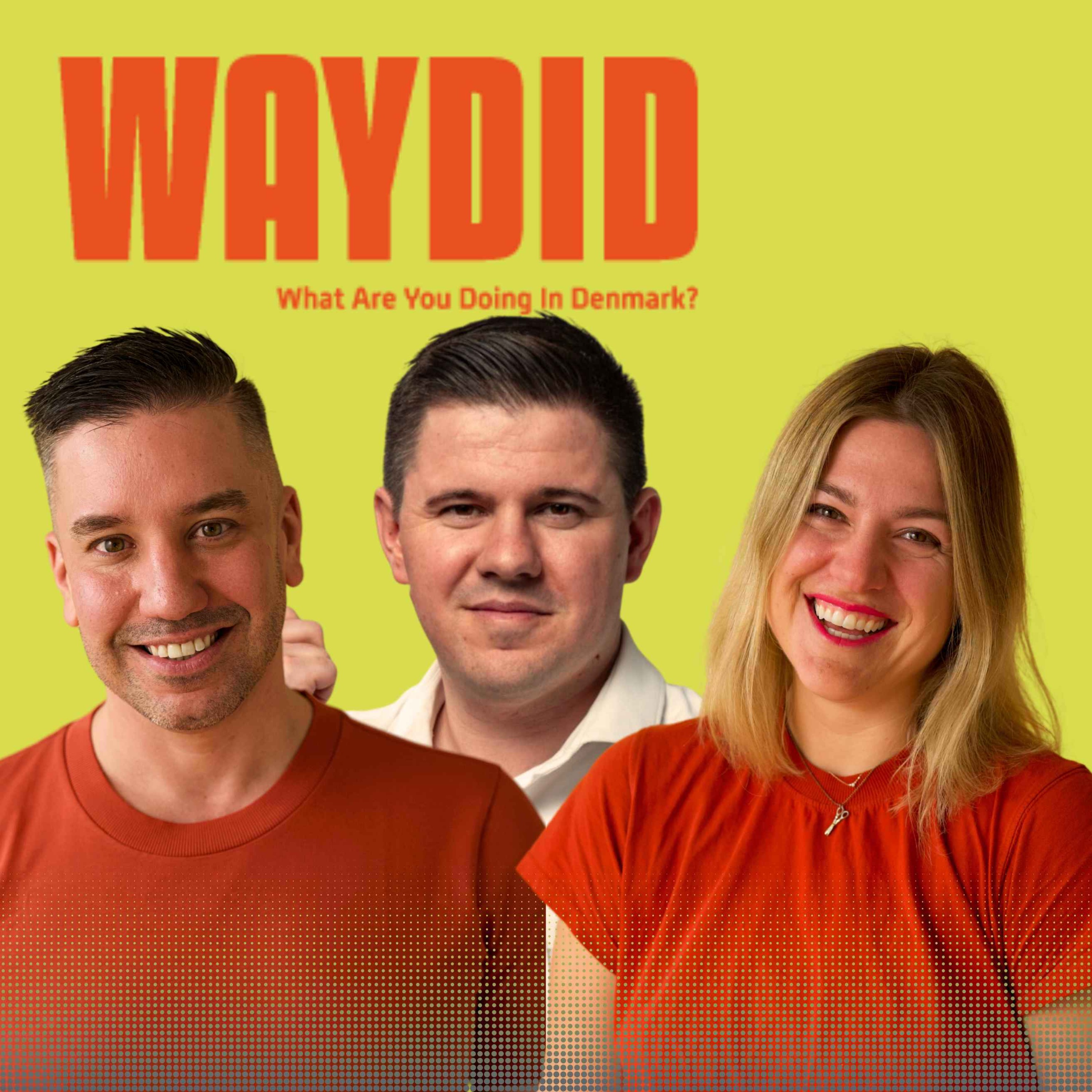 What Are You Doing in Denmark?