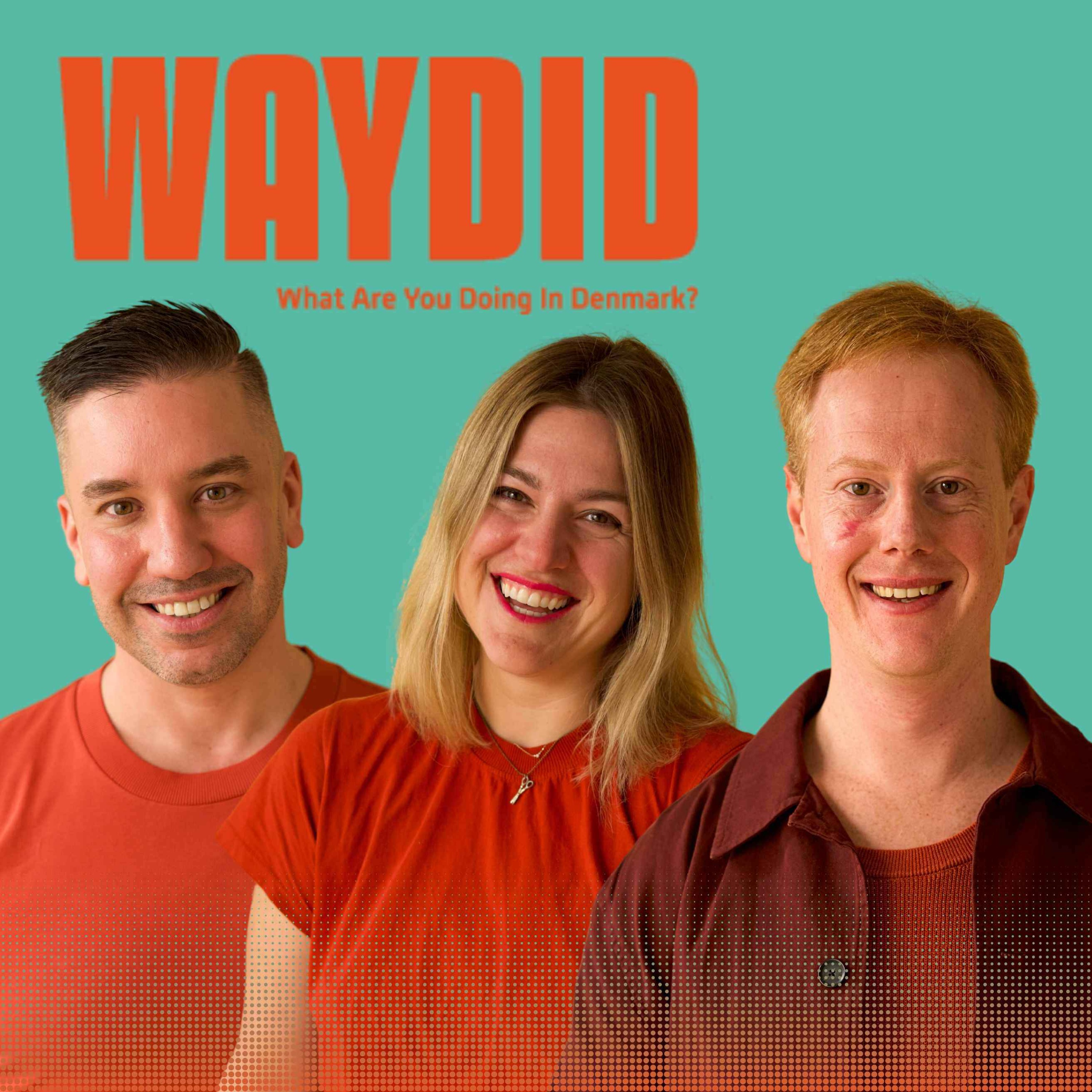 What Are You Doing in Denmark?