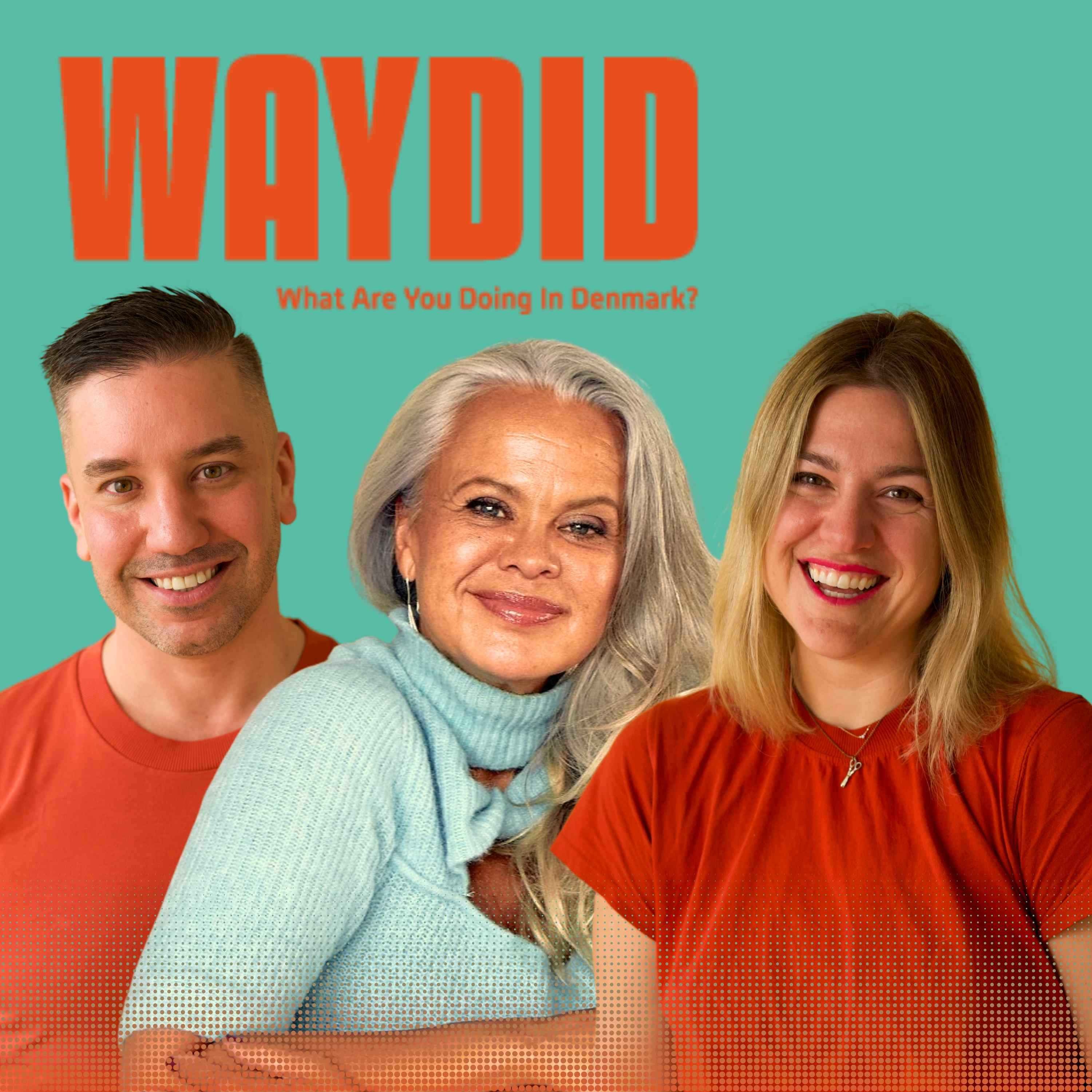 What Are You Doing in Denmark?