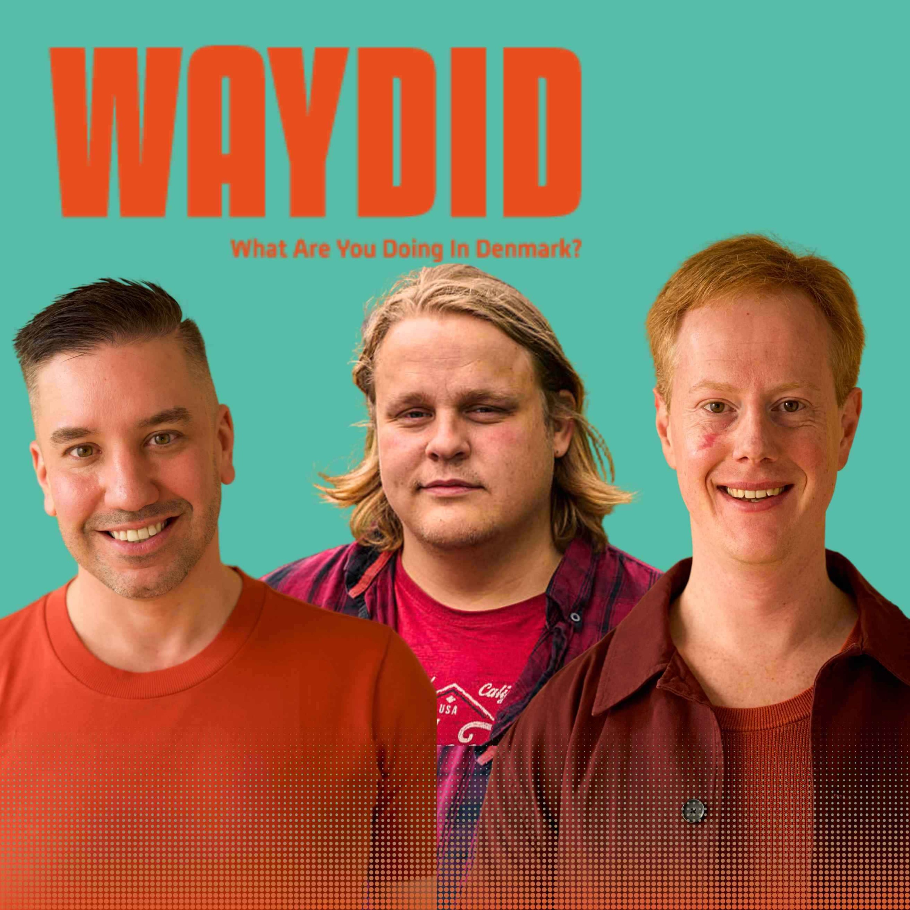 What Are You Doing in Denmark?