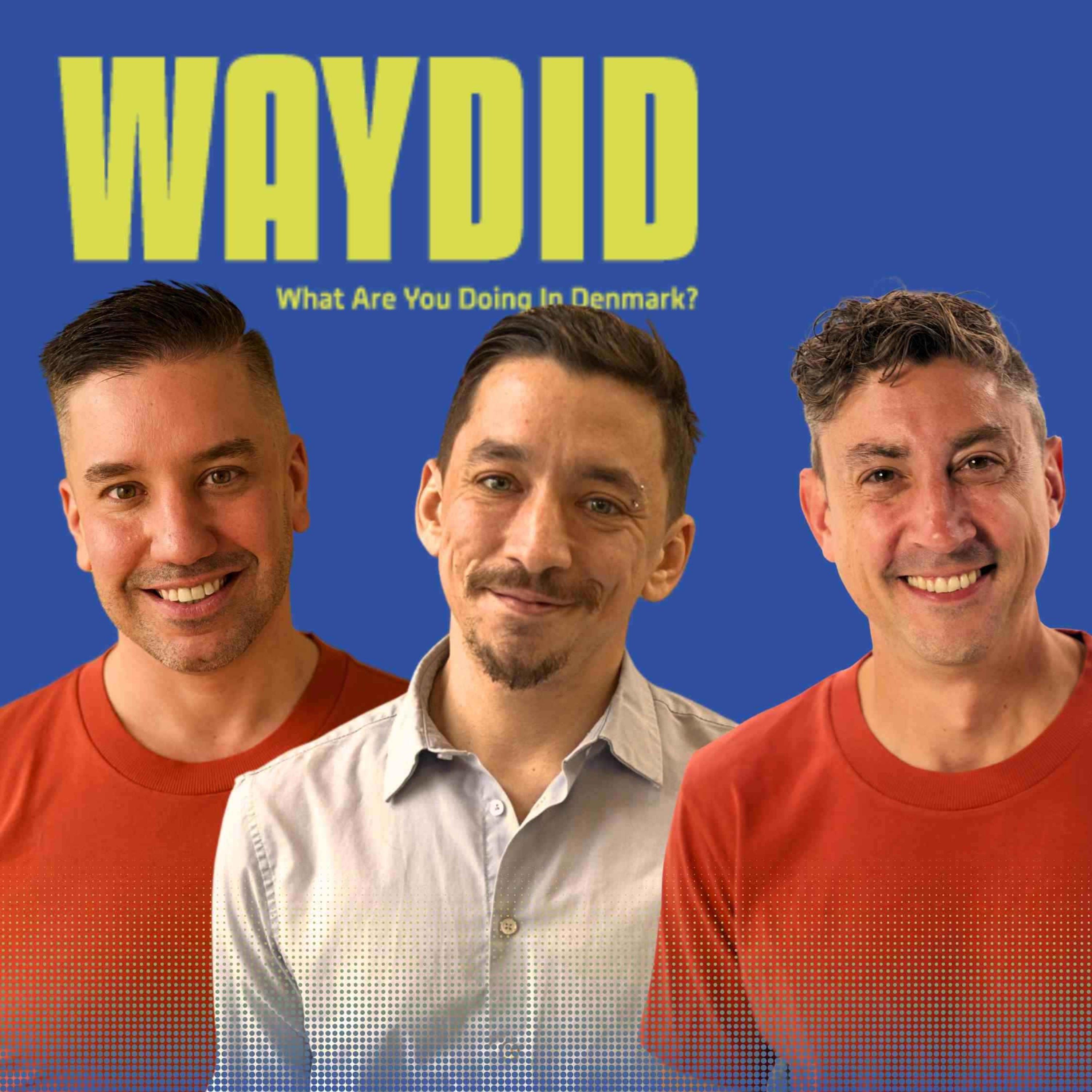 131 | Denmark’s Local Election Results: The Big Shifts Explained