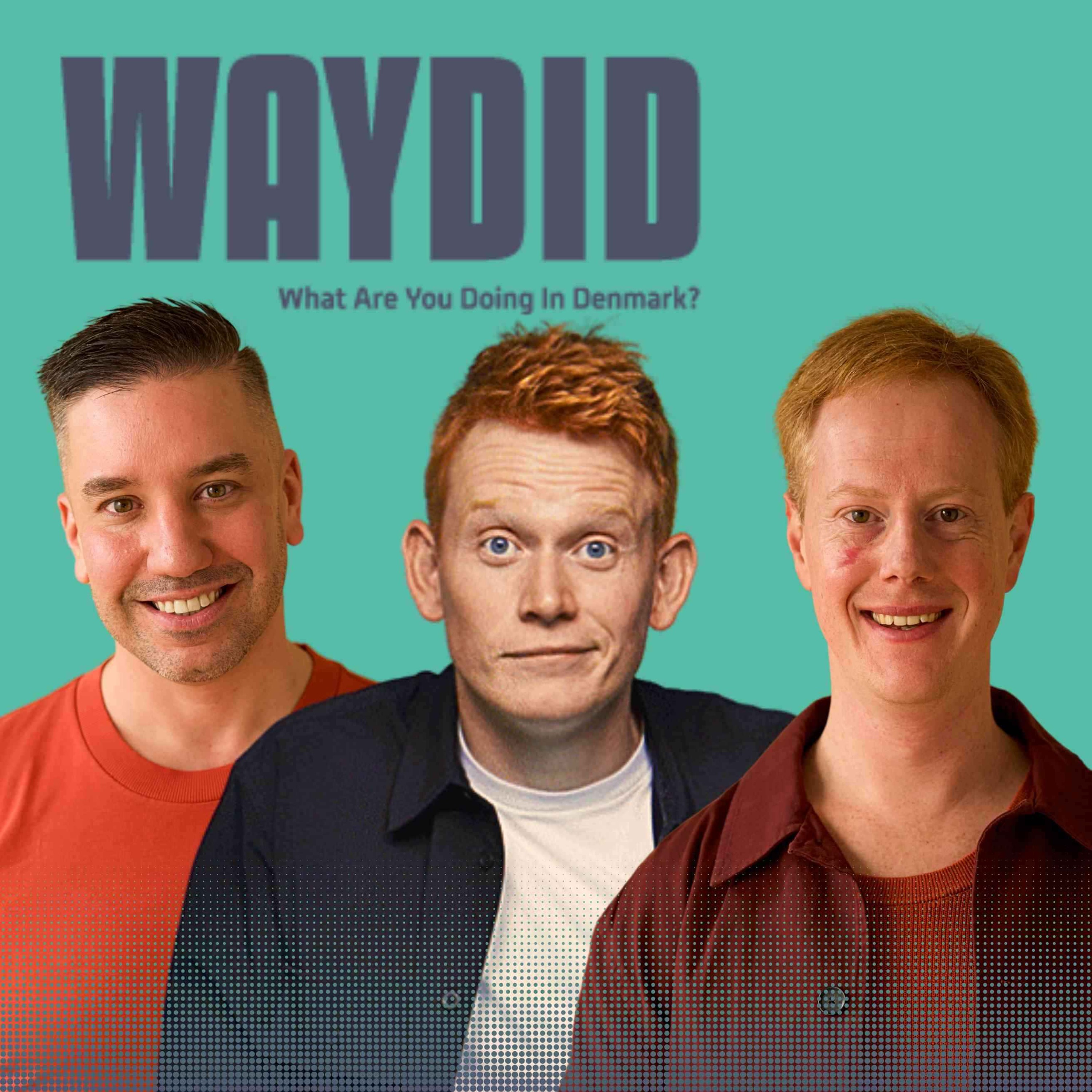 What Are You Doing in Denmark?