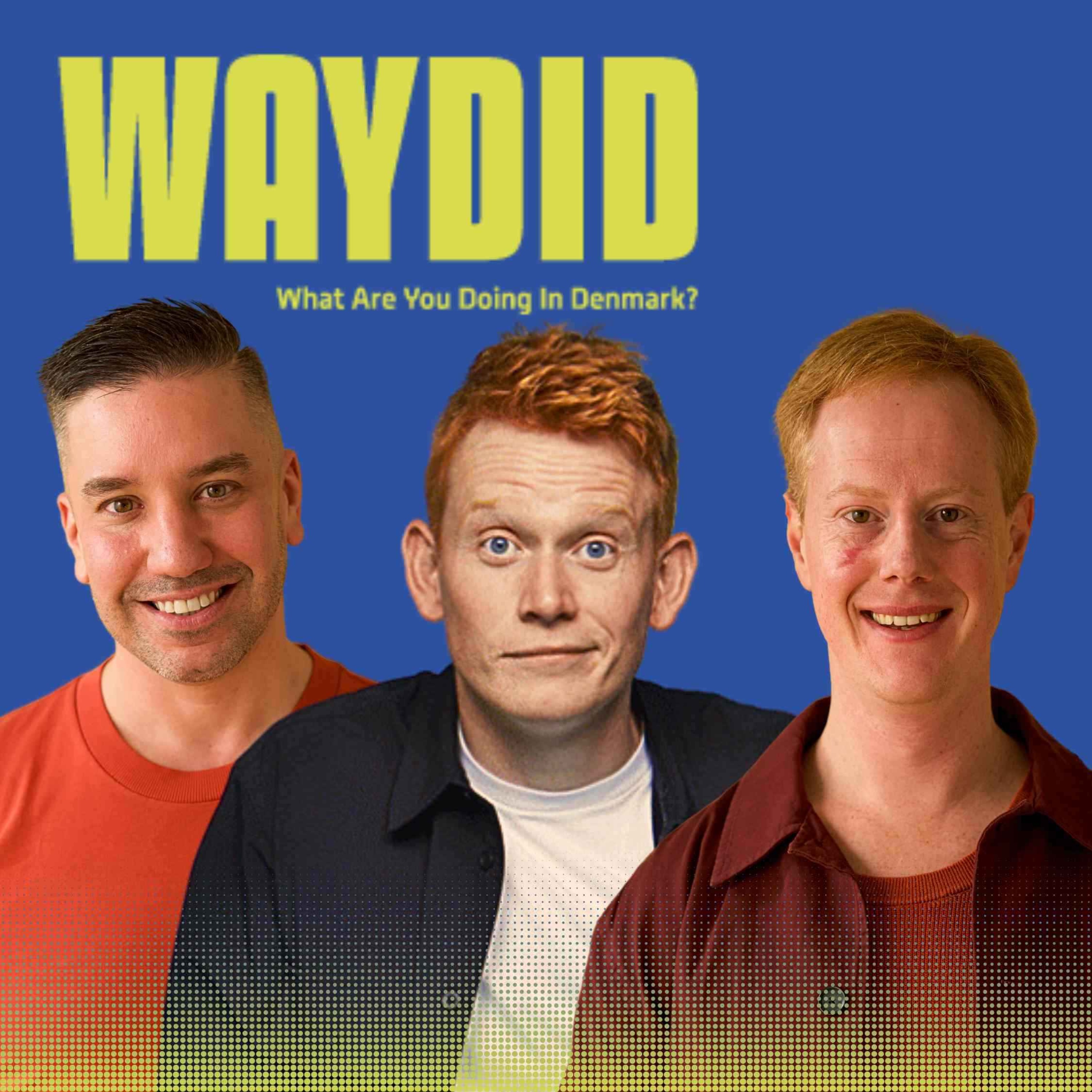 What Are You Doing in Denmark?