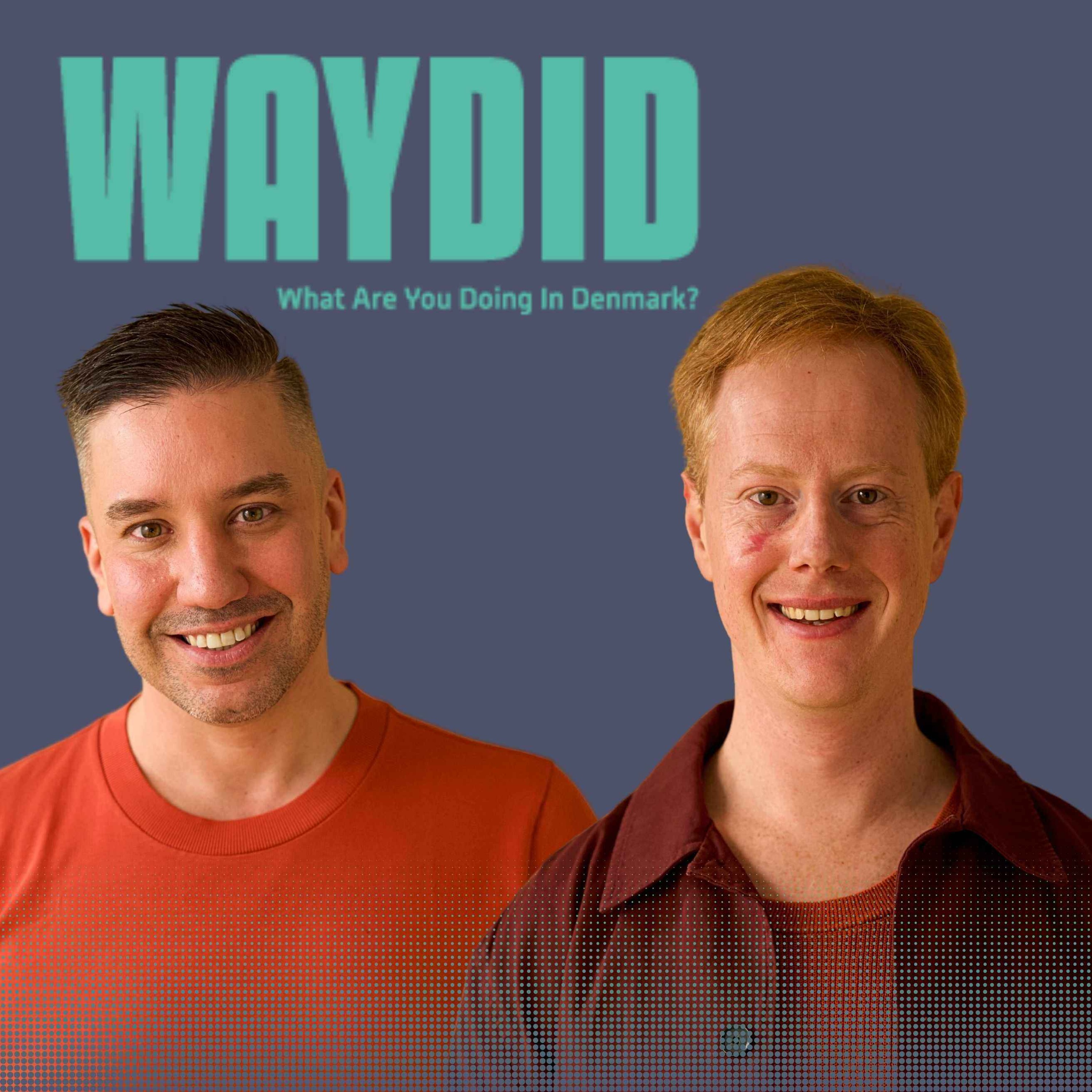 141 | What Happens If You Lose Your Visa Job in Denmark?