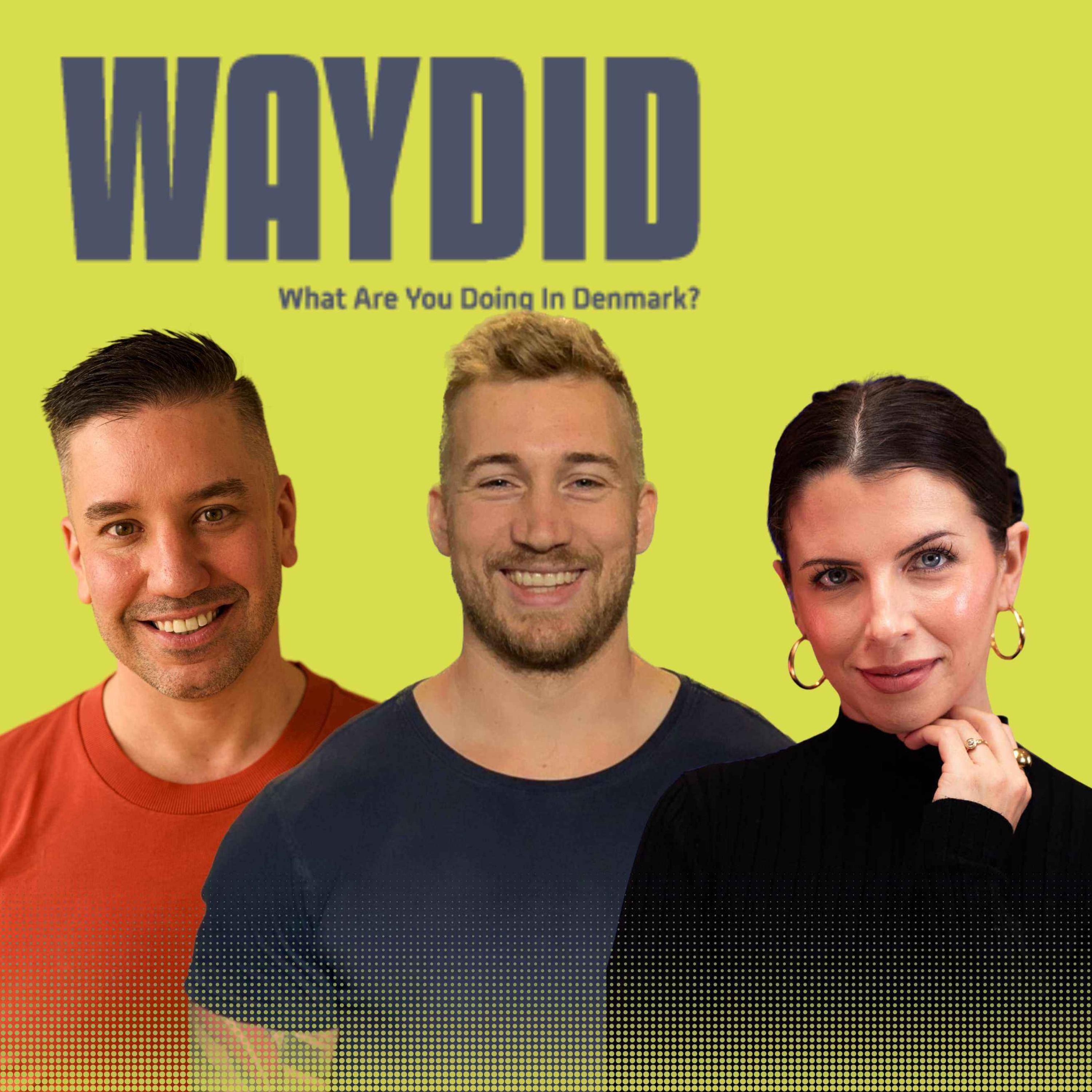 What Are You Doing in Denmark?