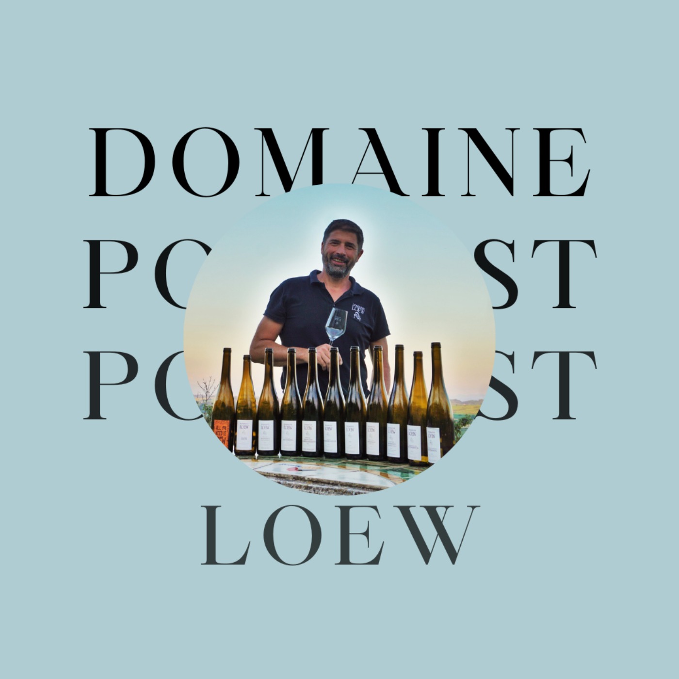 cover art for Domaine Loew à Westhoffen (67)
