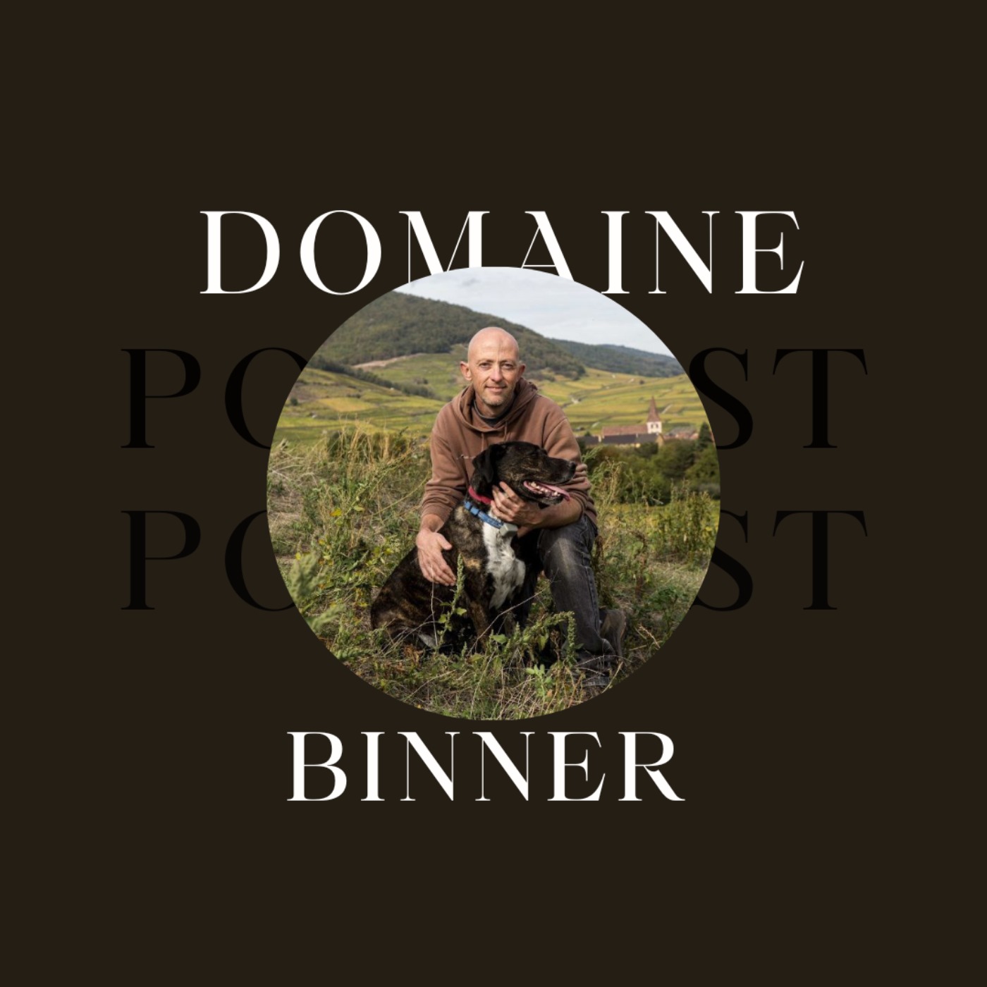 cover art for Domaine Binner à Ammerschwihr (68)