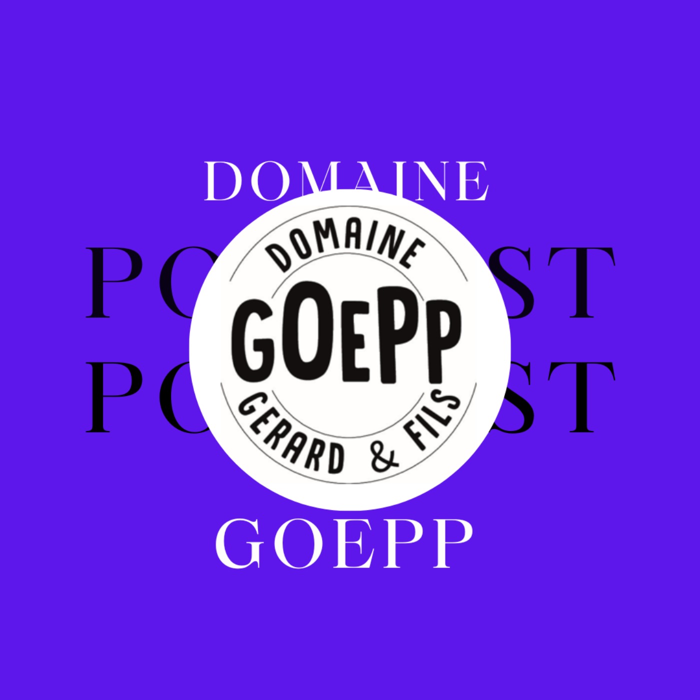 cover art for Domaine Goepp à Heiligenstein (67)