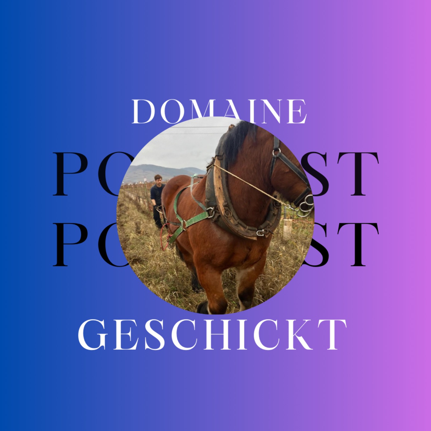 cover art for Domaine Geschickt à Ammerschwihr (68)