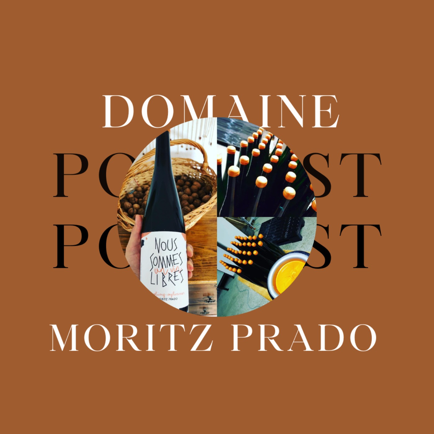 cover art for Domaine Moritz Prado à Albé (67)