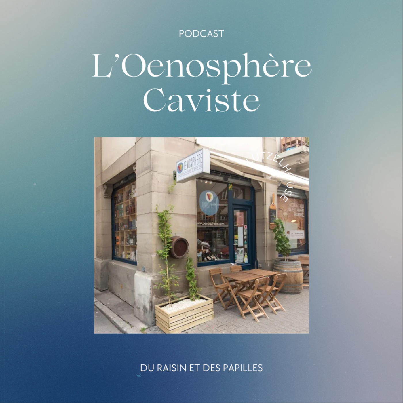 Du Raisin et des Papilles (1/4) : Découverte de l'Œnosphère, Caviste Alternatif à Strasbourg