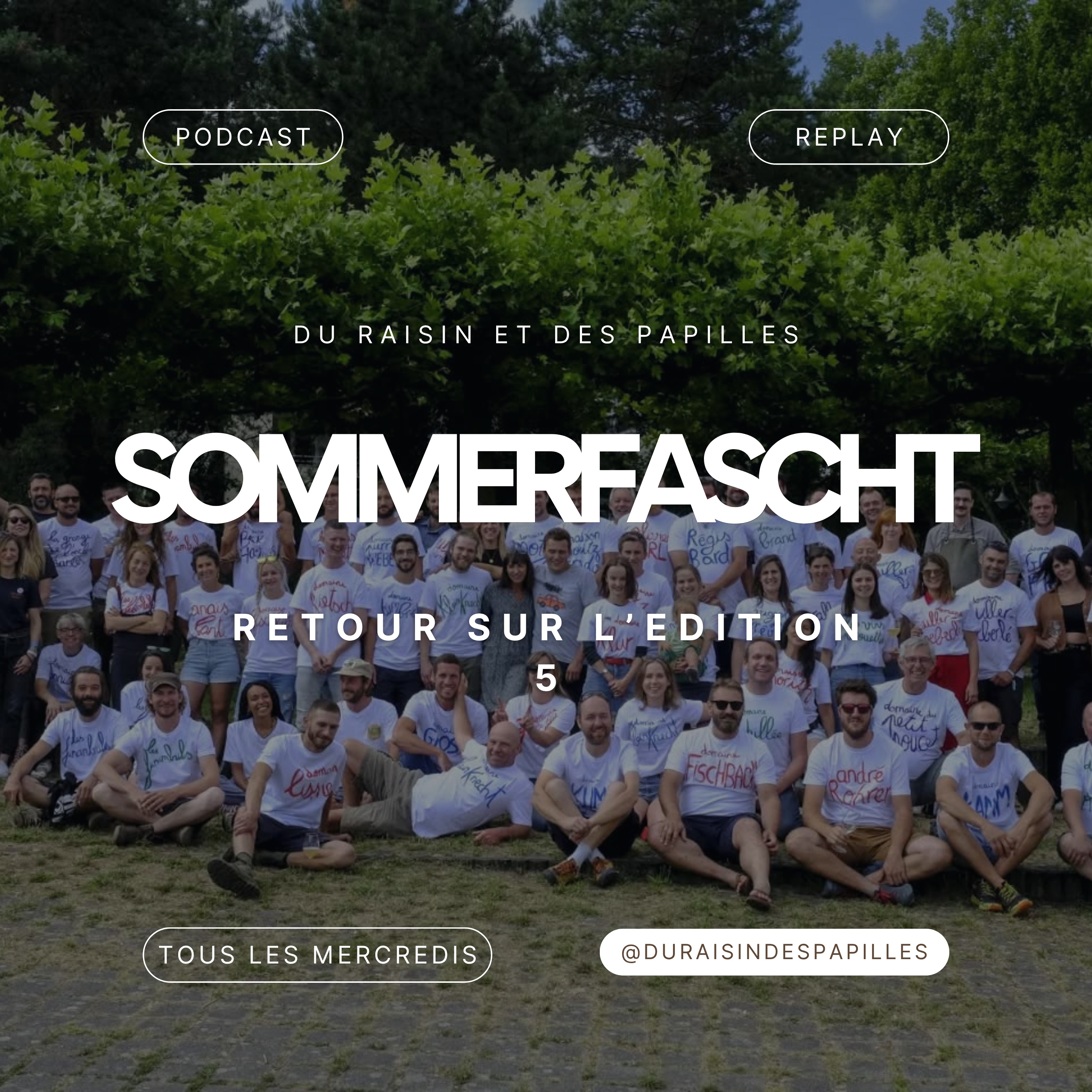 Sommerfascht : La Fête du Vin Nature en Alsace