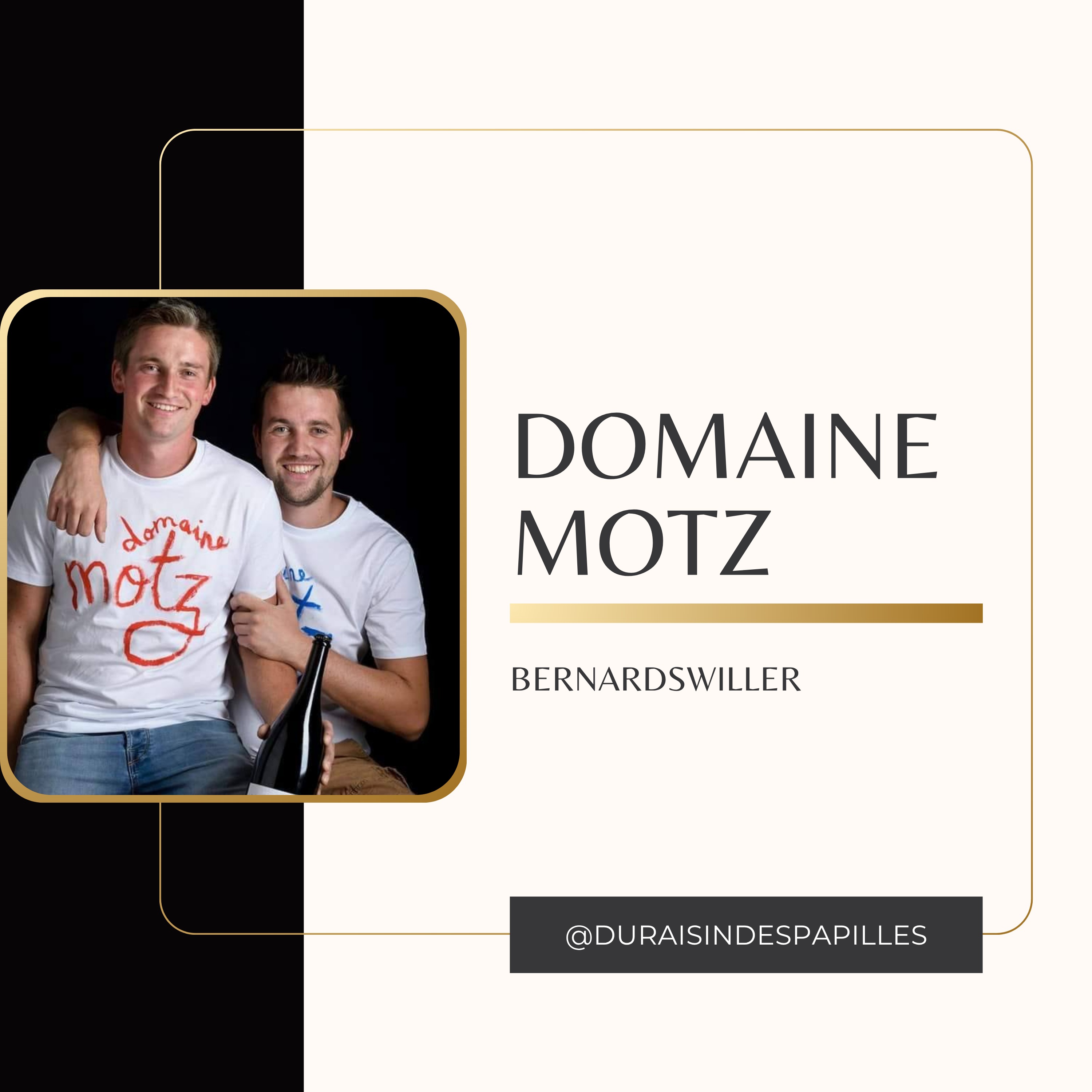 Florent et Nicolas Motz : de la PlayStation aux vignes centenaires de Bernardswiller