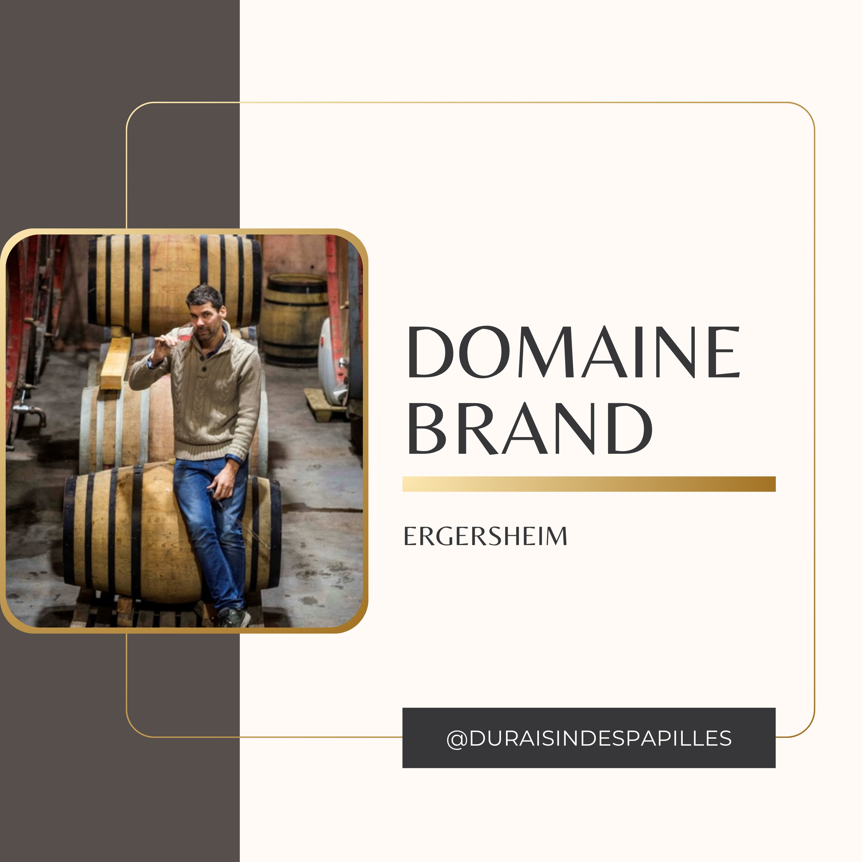 Philippe Brand : Vigneron Rebelle et Poète en Alsace