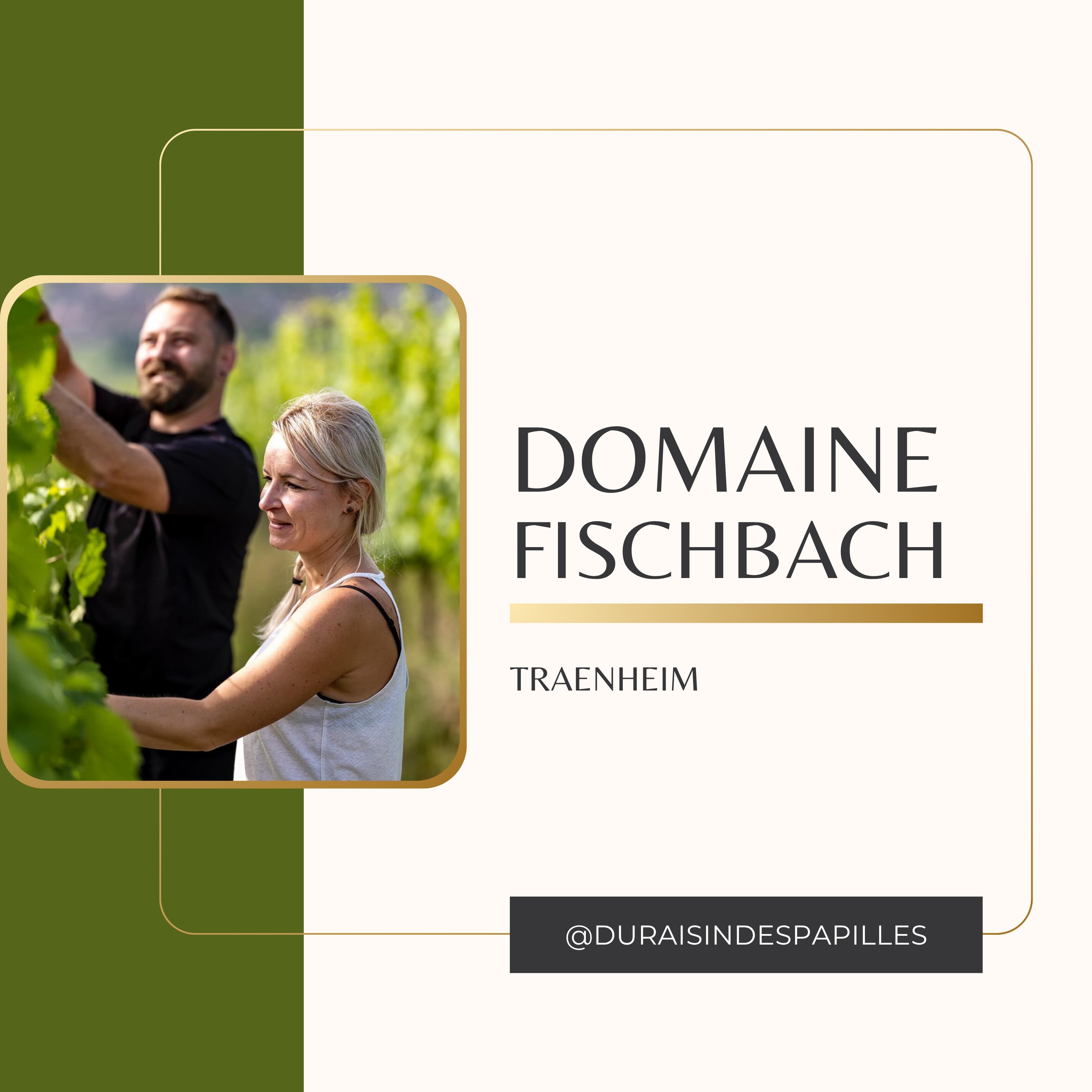 Domaine Fischabach: l'audace de réinventer le vin alsacien