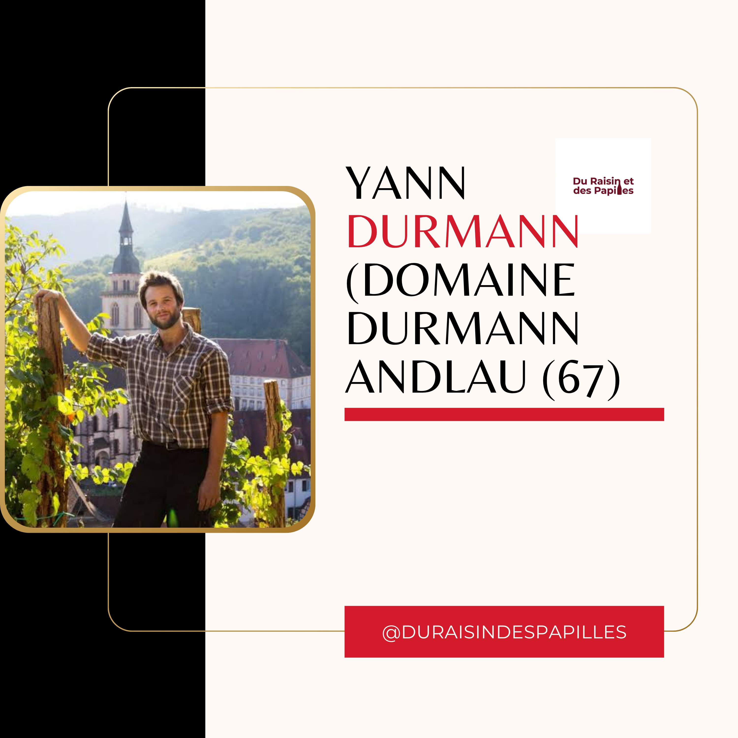 Yann Durrmann (Domaine Durrmann, Andlau) : le vin cru et les coteaux que personne ne voulait