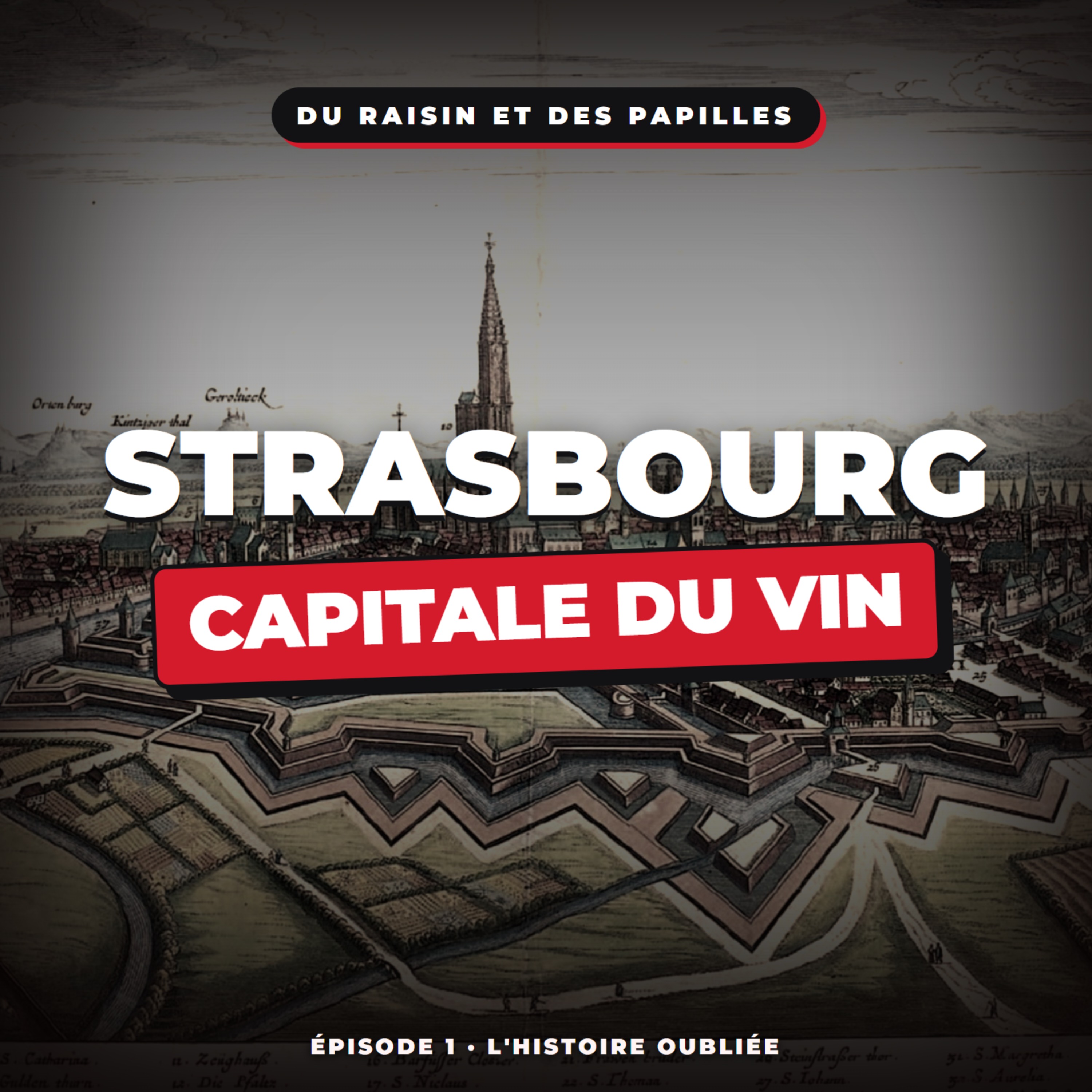 Épisode 1: Strasbourg, capitale du vin