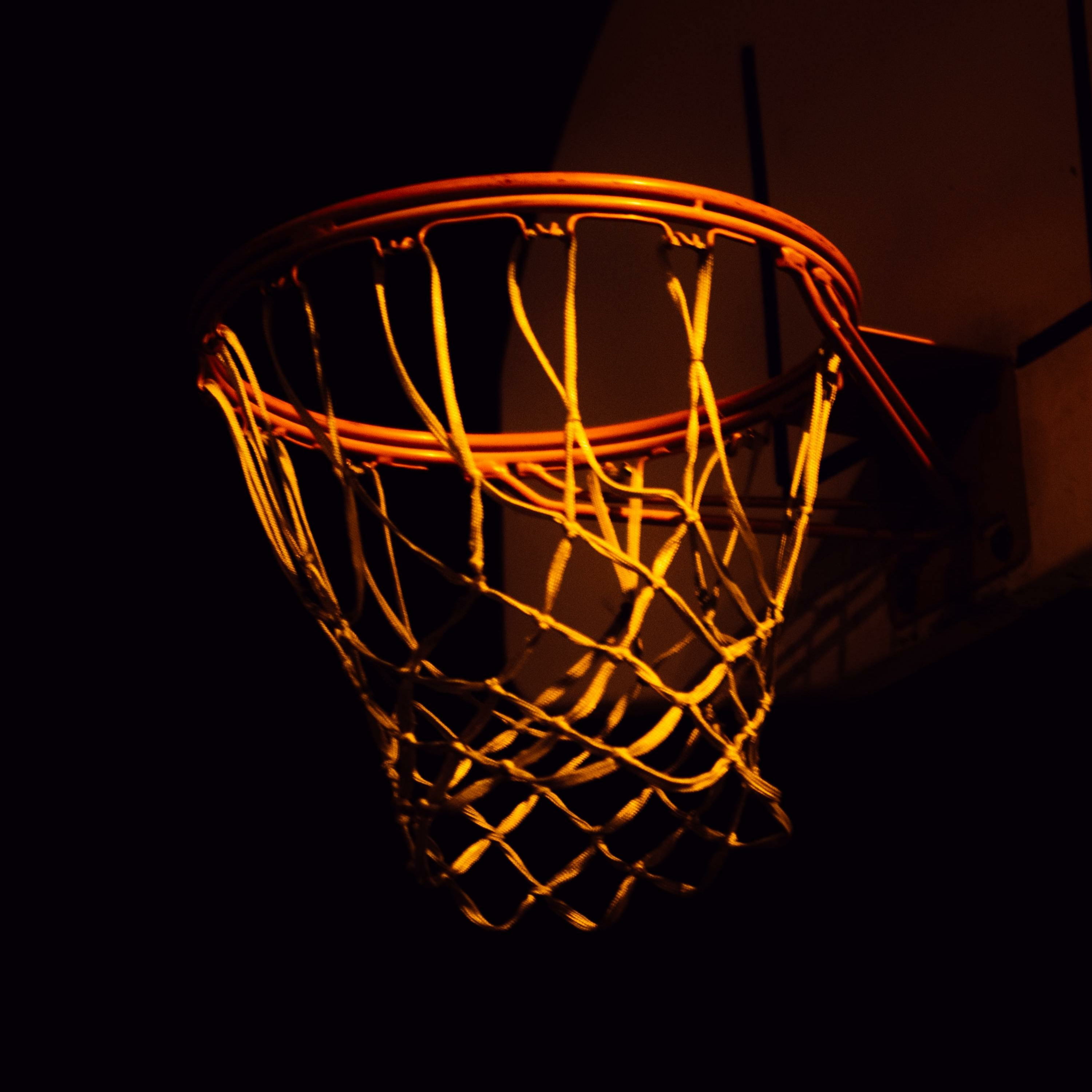 The Daily NBA Report