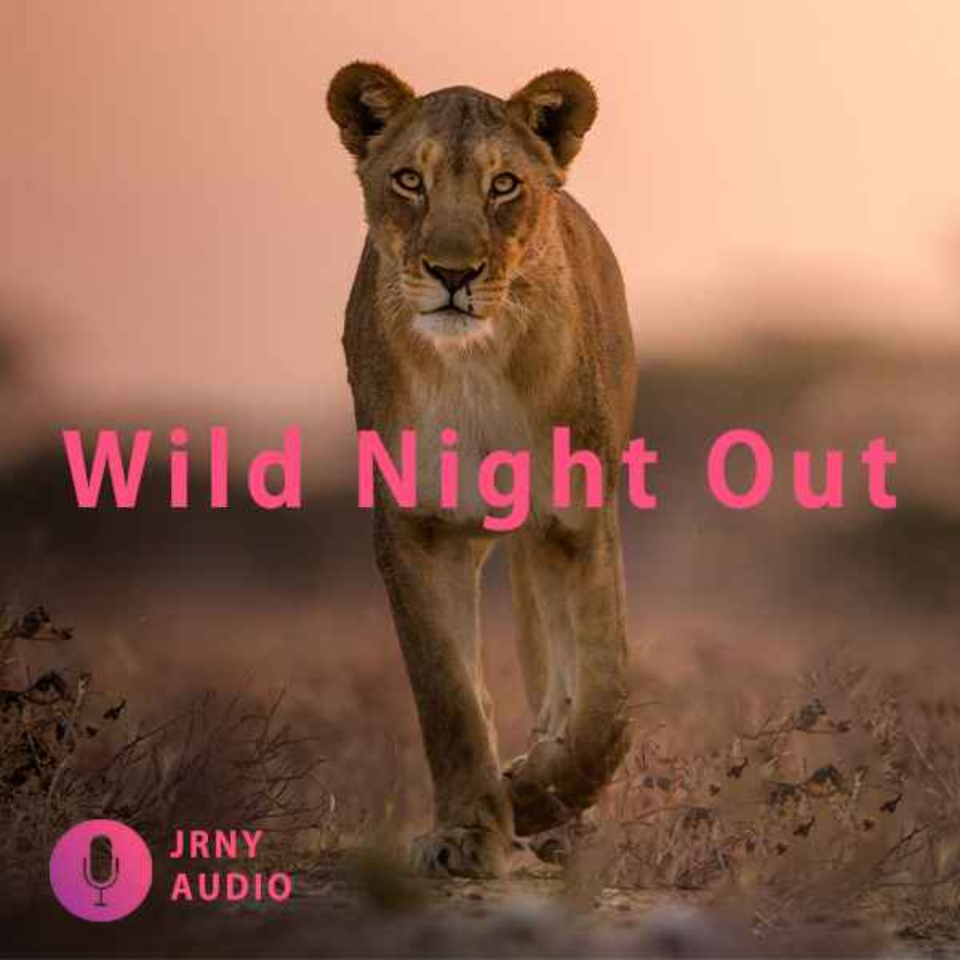 Wild night out episode artwork