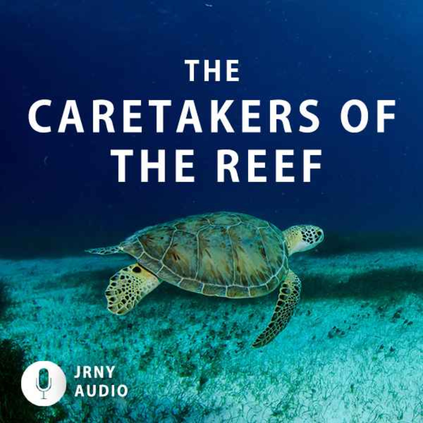 The Caretakers of the Reef episode artwork