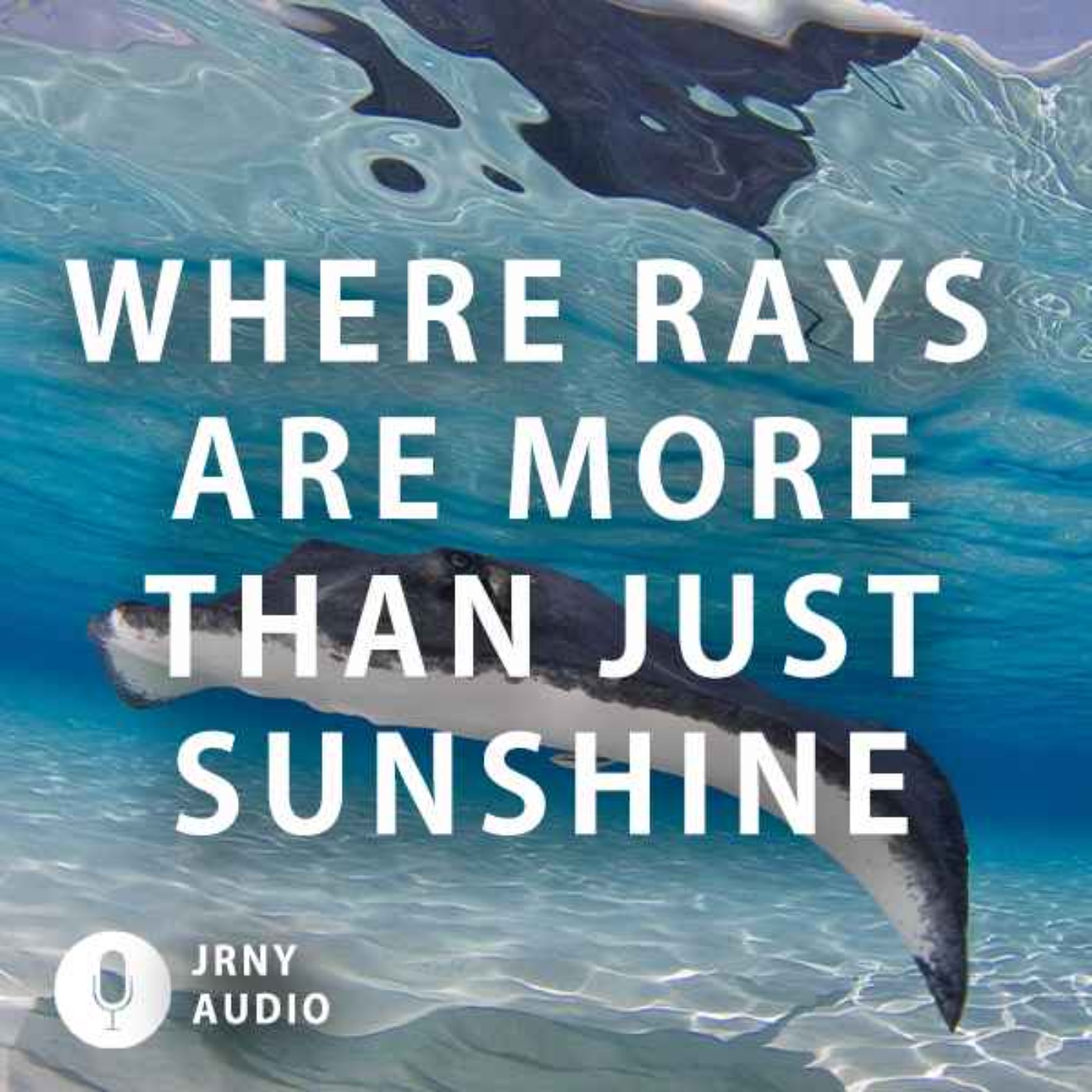 Where Rays Are More Than Just Sunshine episode artwork