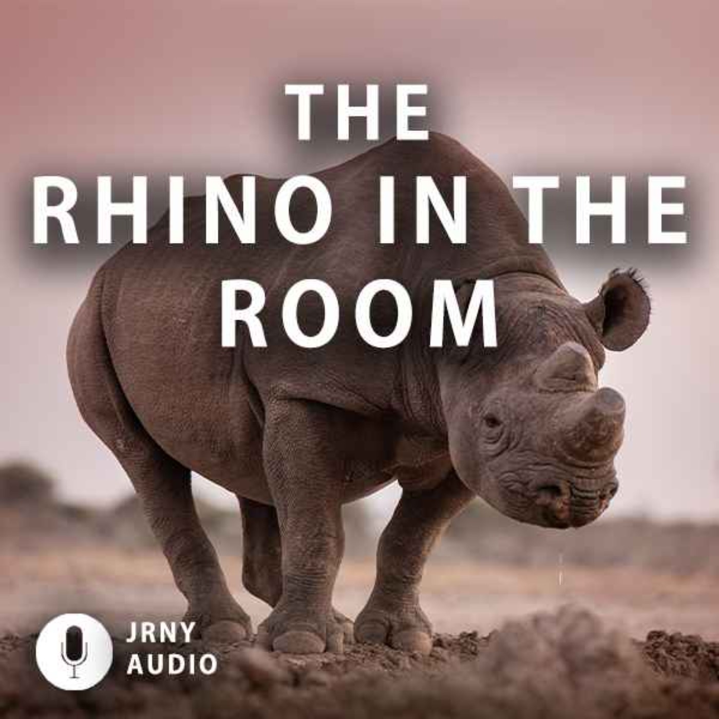 The Rhino In The Room episode artwork
