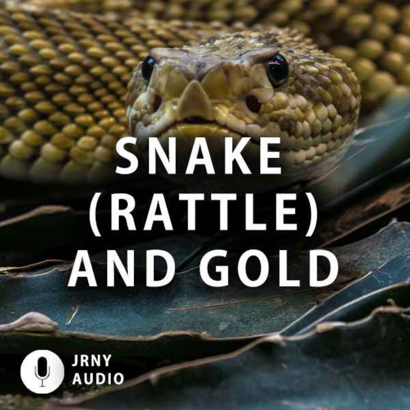 Snake (rattle) and gold episode artwork