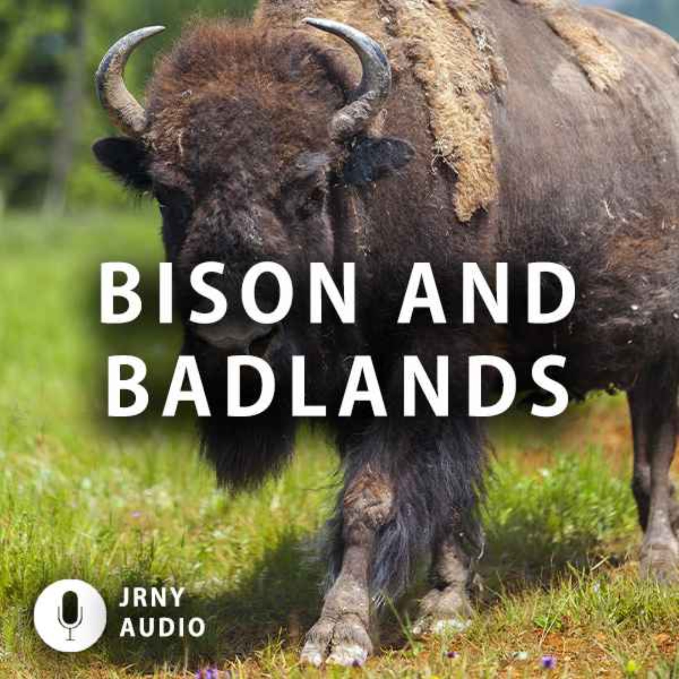 Bison and badlands episode artwork