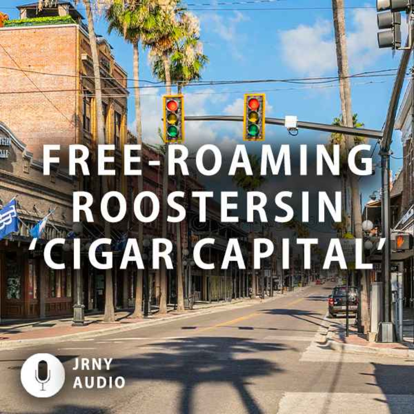Free-roaming roosters in ‘Cigar Capital’ episode artwork