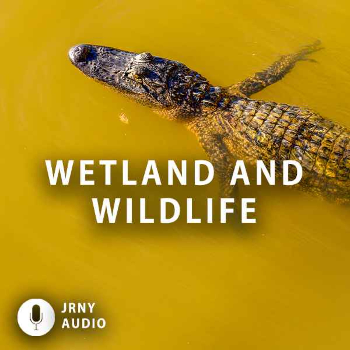 Wetland And Wildlife episode artwork