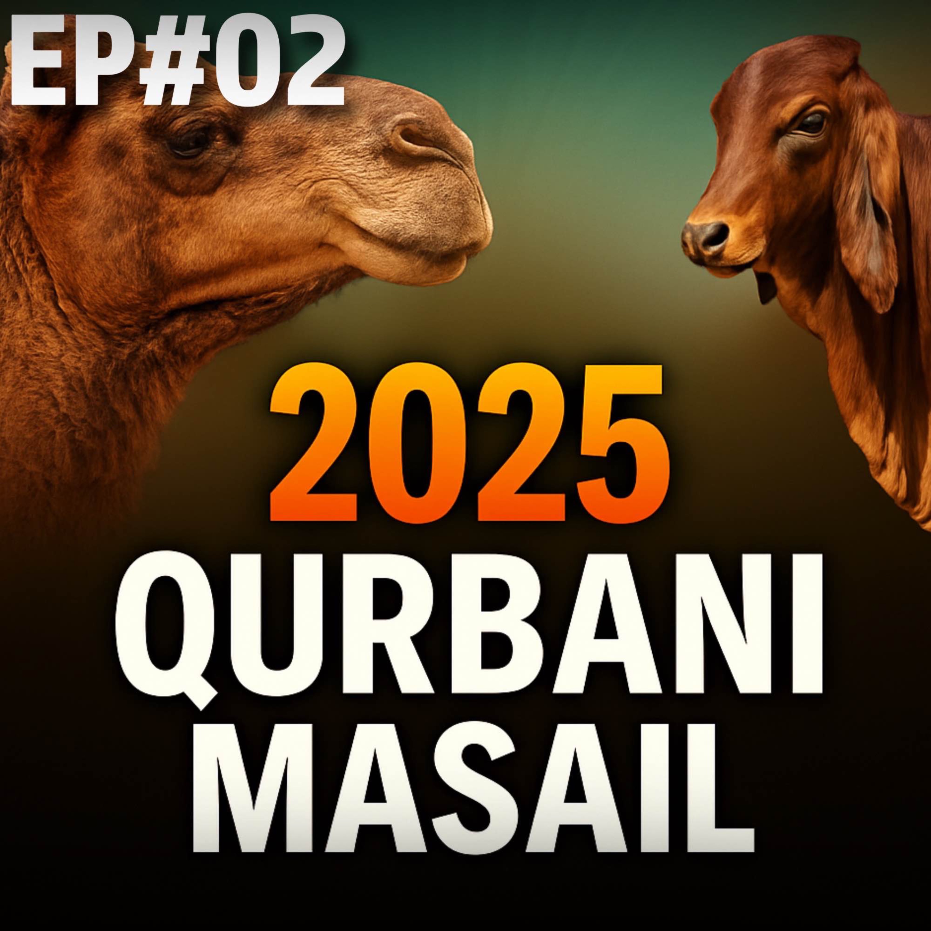 Qurbani Ke Masail 2025 EP#02 | Mufti Tariq Masood Speeches 🕋
