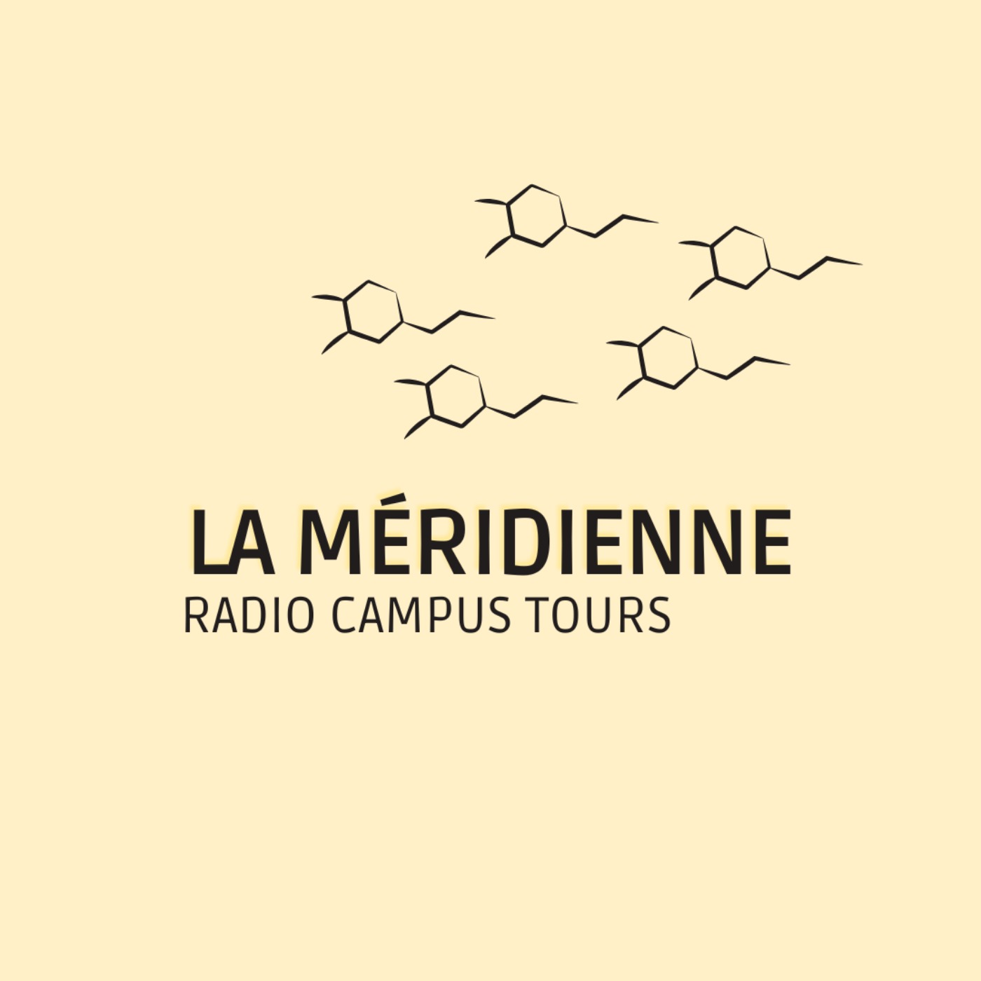La Méridienne – MSH – Mathieu Gigot, CITERES – CNRS episode artwork