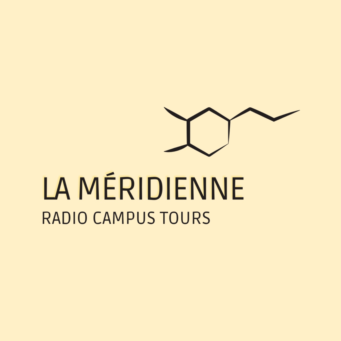 La Méridienne – Galerie Sanaga – Visions chimériques – Evelyne Plumecocq et Simon Plumecocq episode artwork