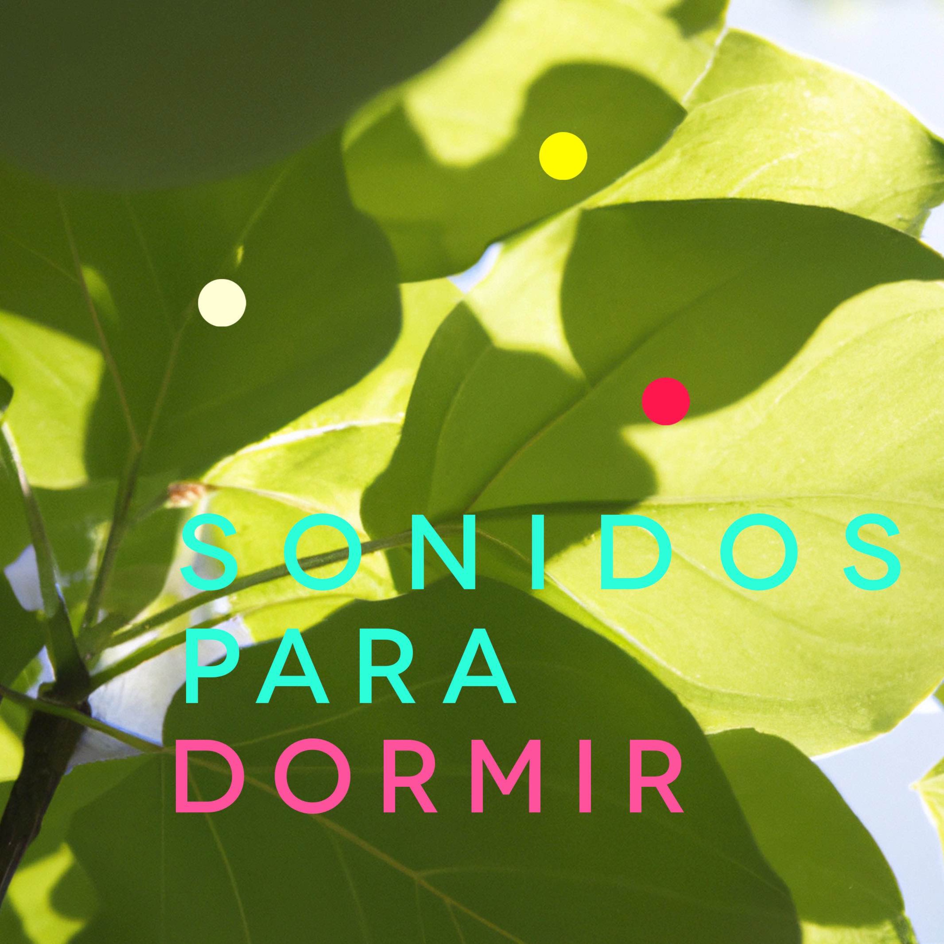 Sonidos para Dormir y Enfoque | Ruido Blanco