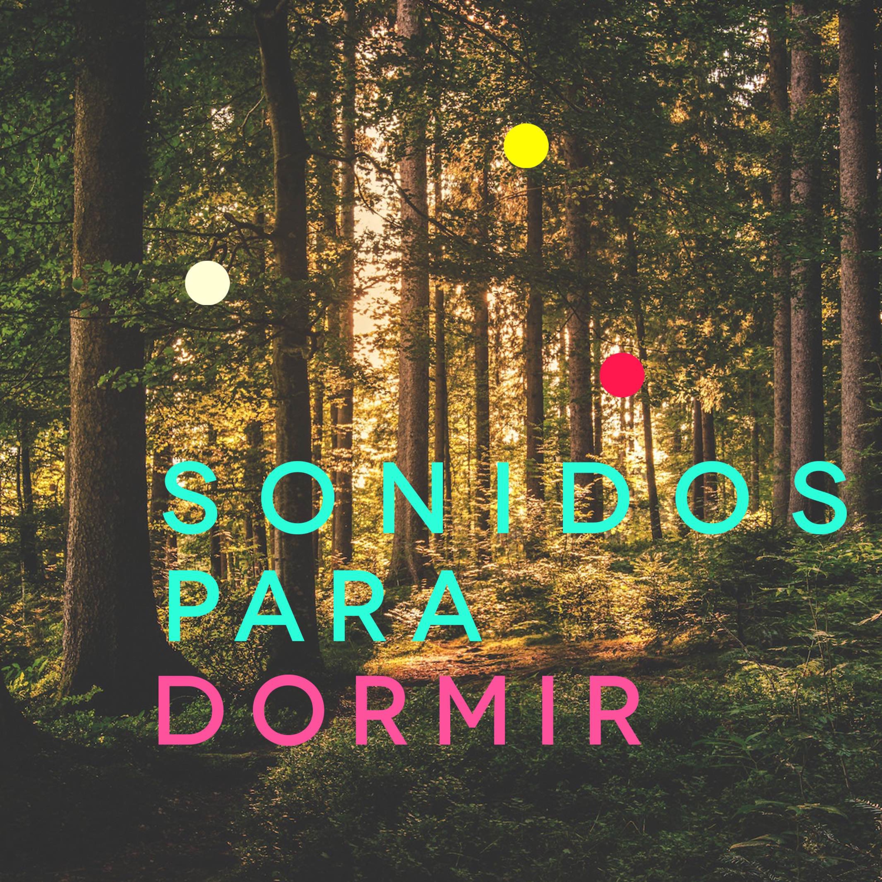Sonidos para Dormir y Enfoque | Ruido Blanco