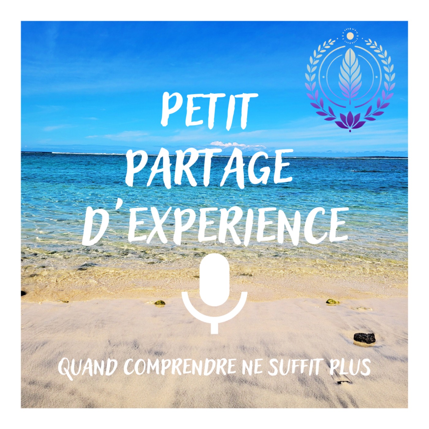 Quand comprendre ne suffit plus episode artwork