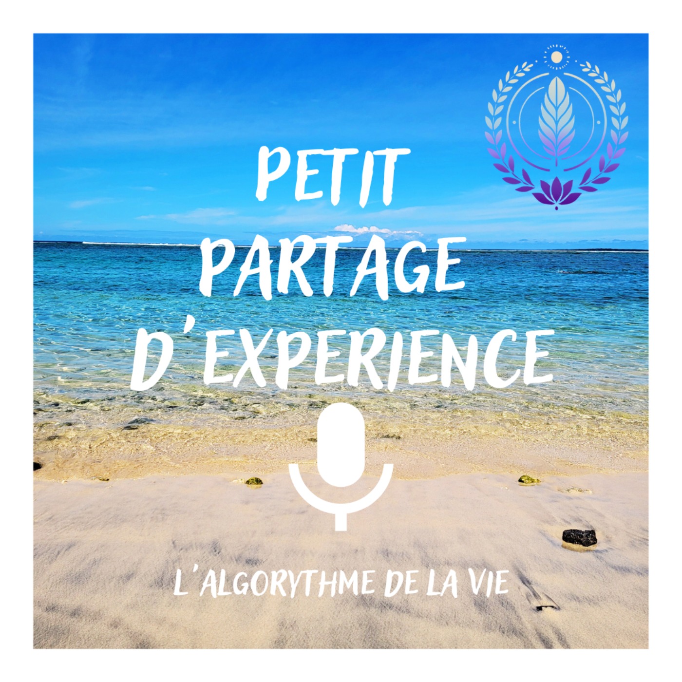 L'algorythme de la Vie episode artwork
